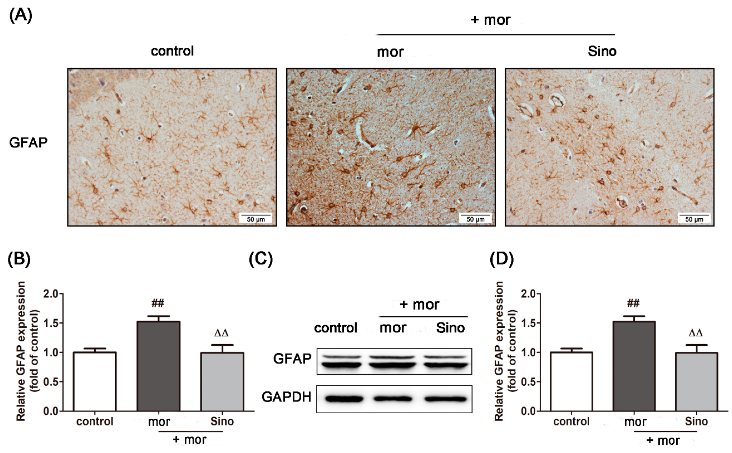 Molecules 23 02370 g004 Molecules 23 02370 g004