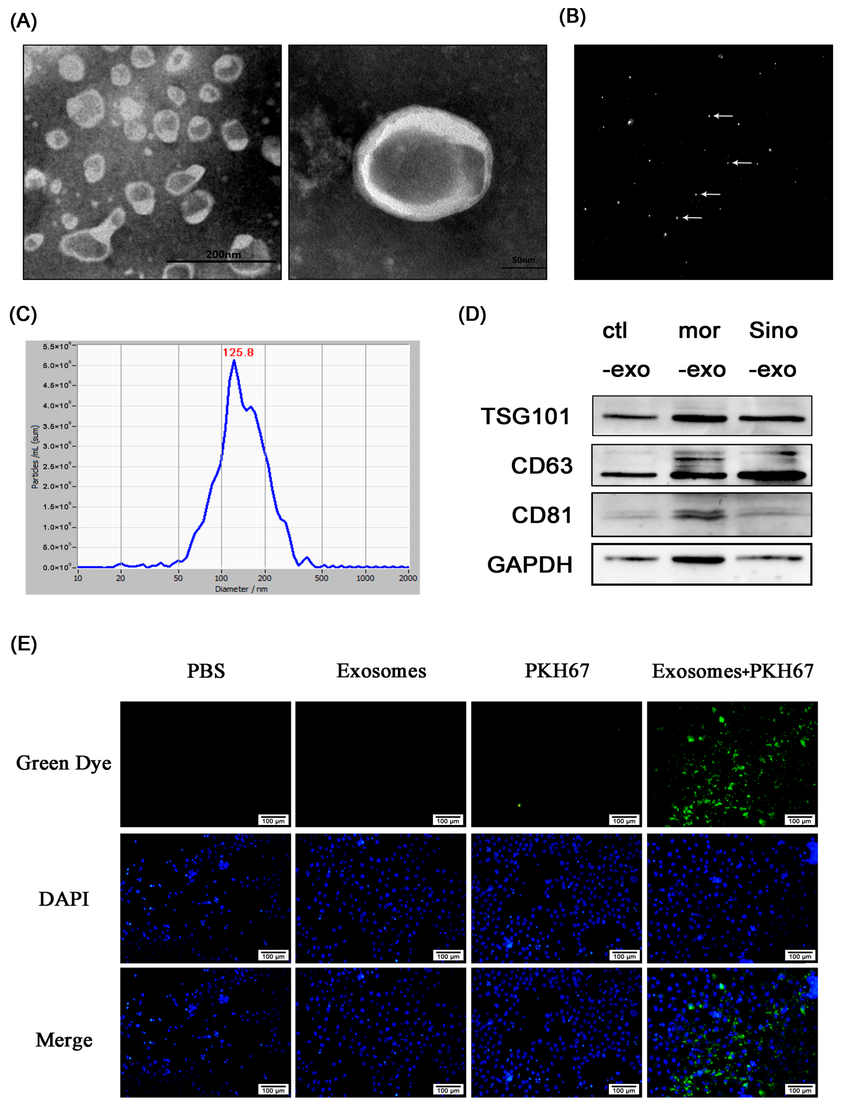 Molecules 23 02370 g005 Molecules 23 02370 g005