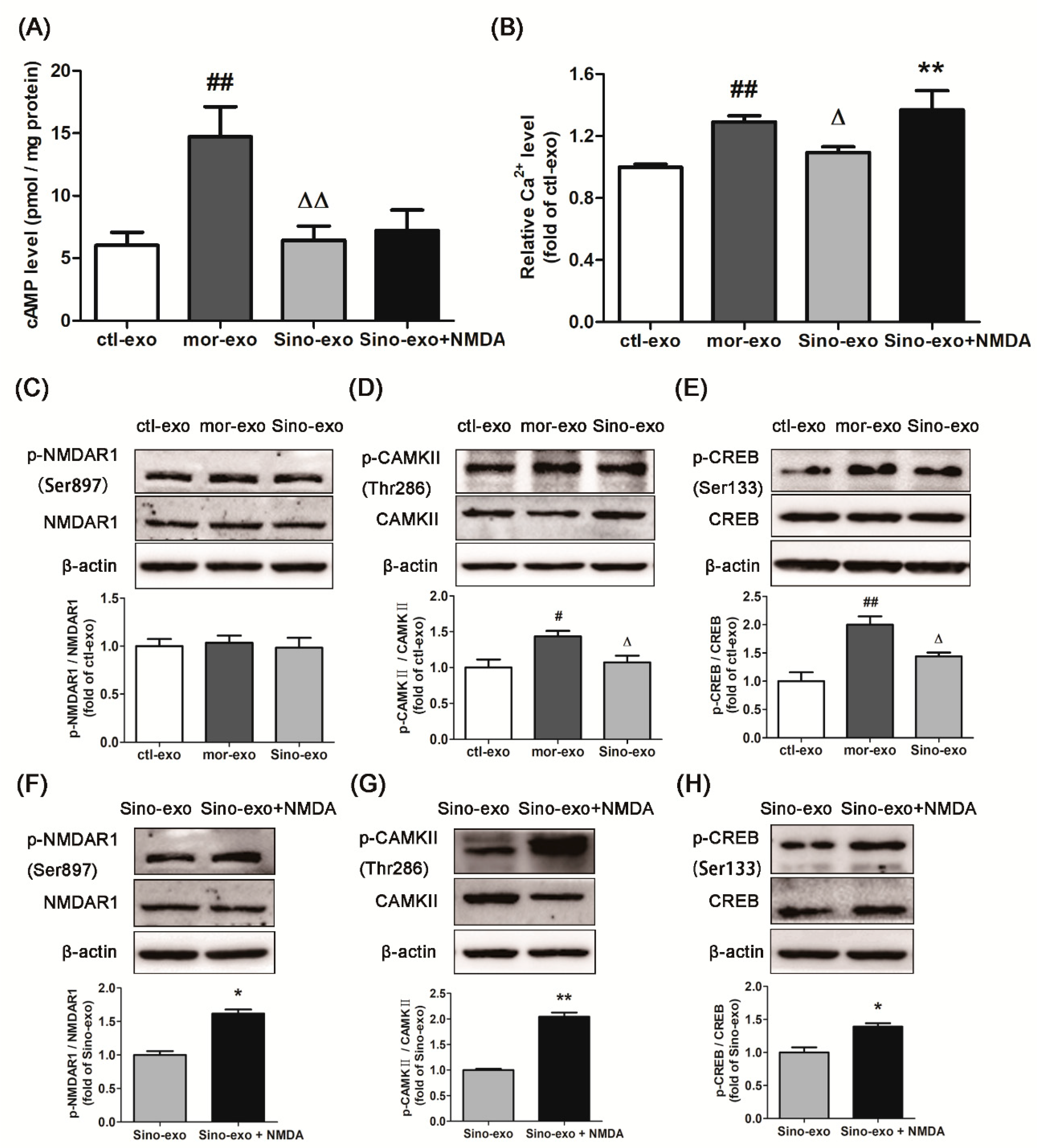 Molecules 23 02370 g006 Molecules 23 02370 g006