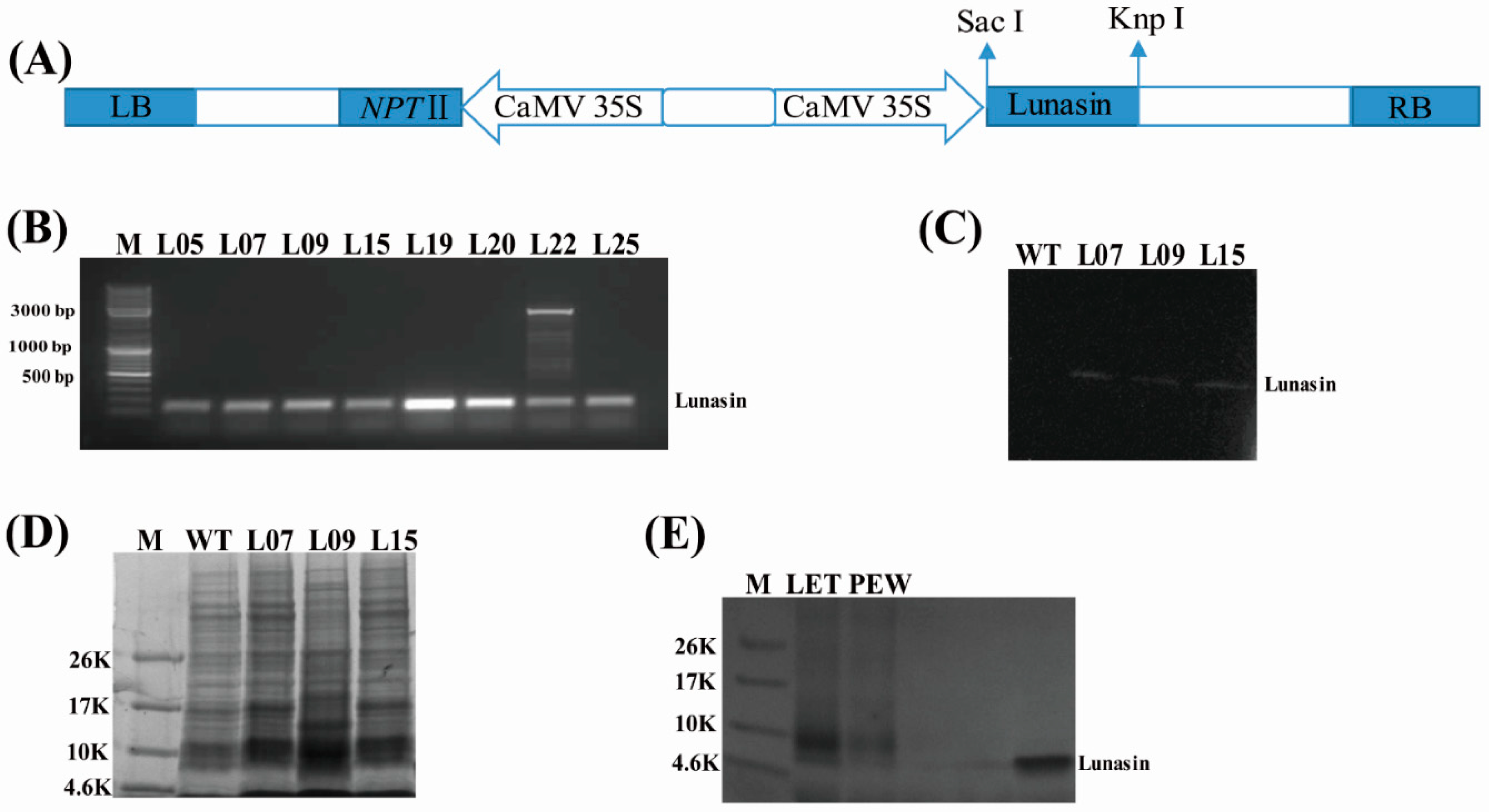 Molecules 23 02373 g001