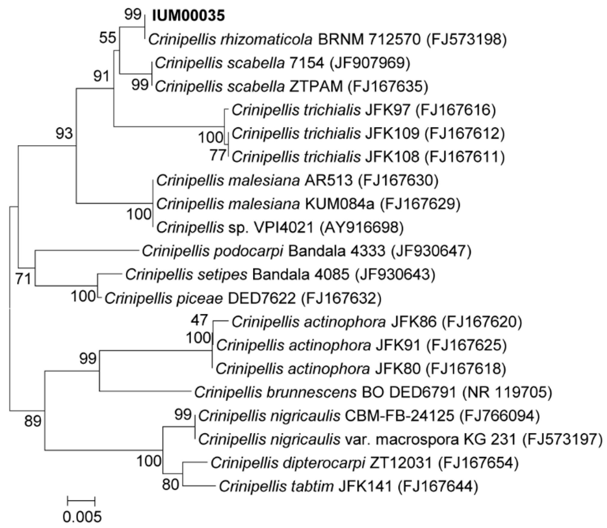 Molecules 23 02377 g003 Molecules 23 02377 g003