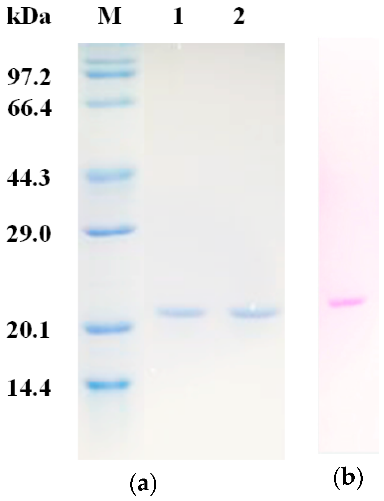 Molecules 23 02388 g002