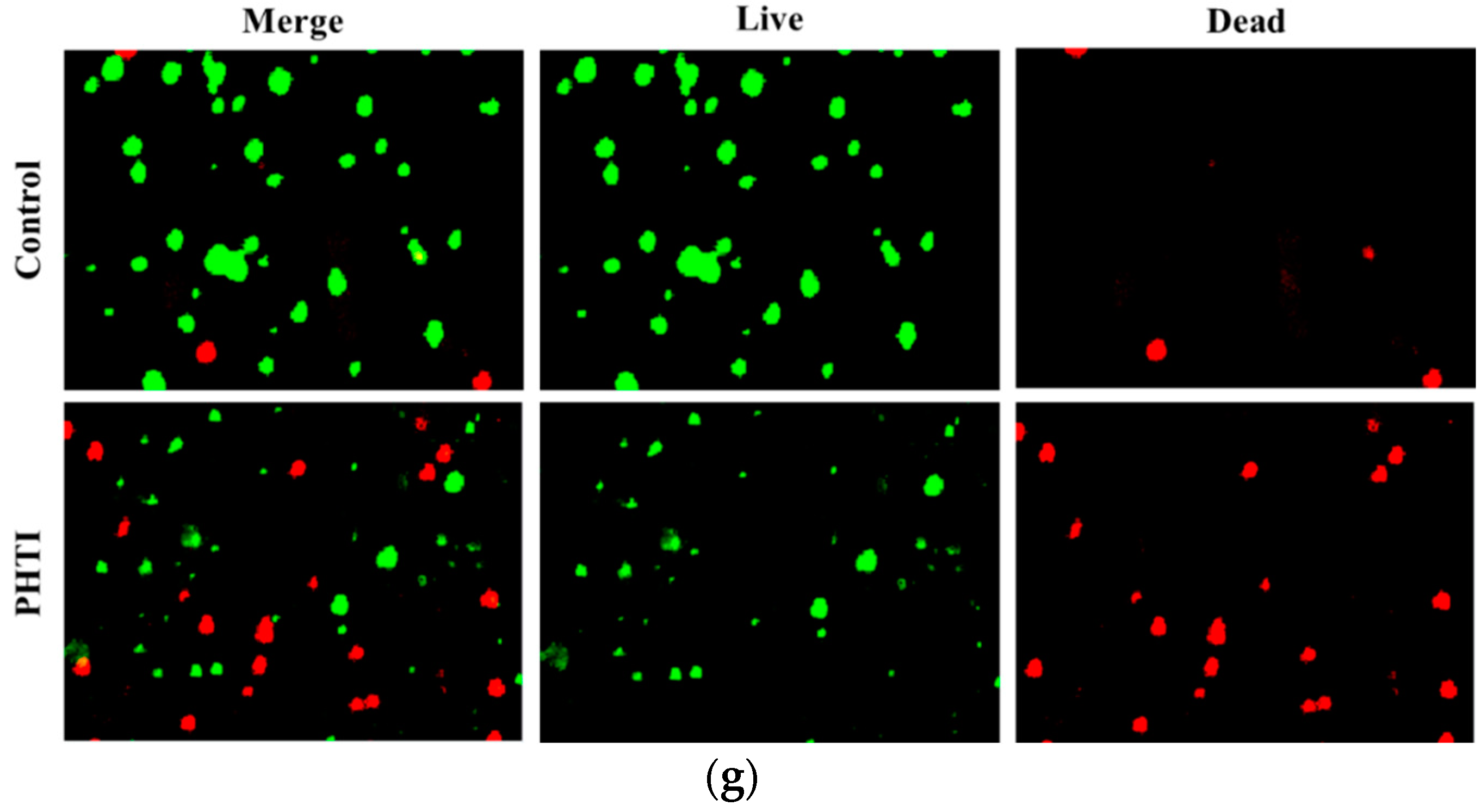 Molecules 23 02388 g007b