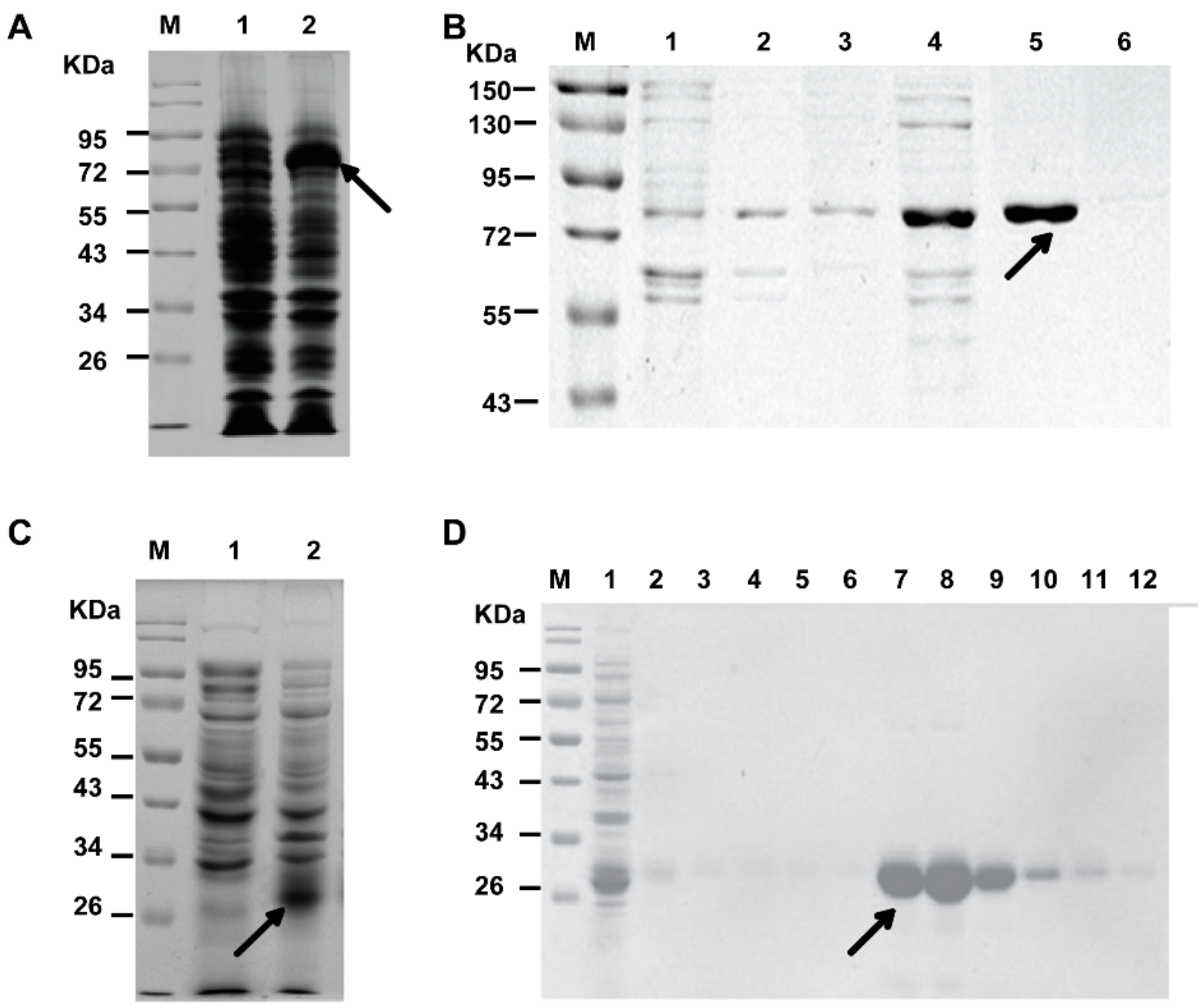 Molecules 23 02397 g002 Molecules 23 02397 g002