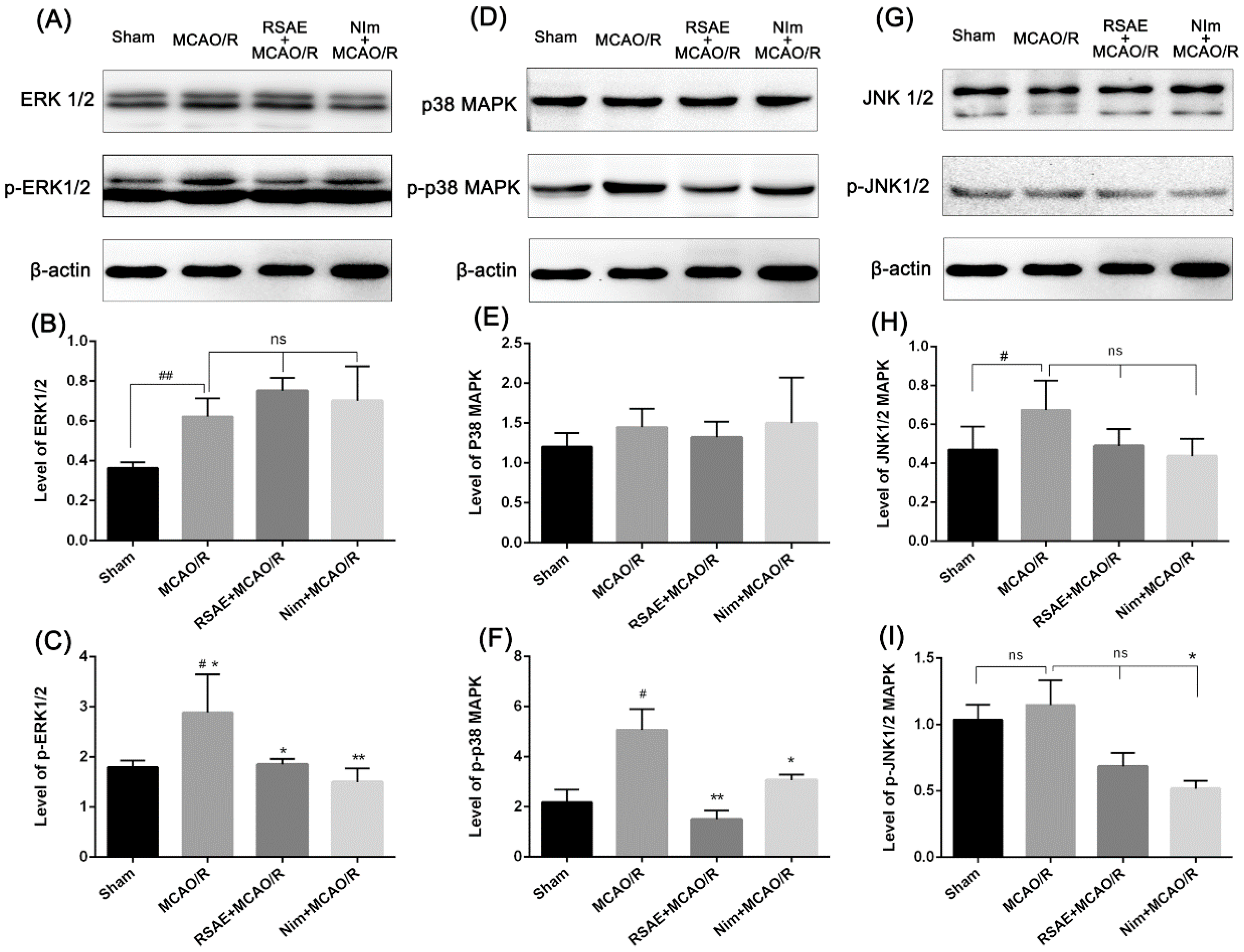 Molecules 23 02401 g008