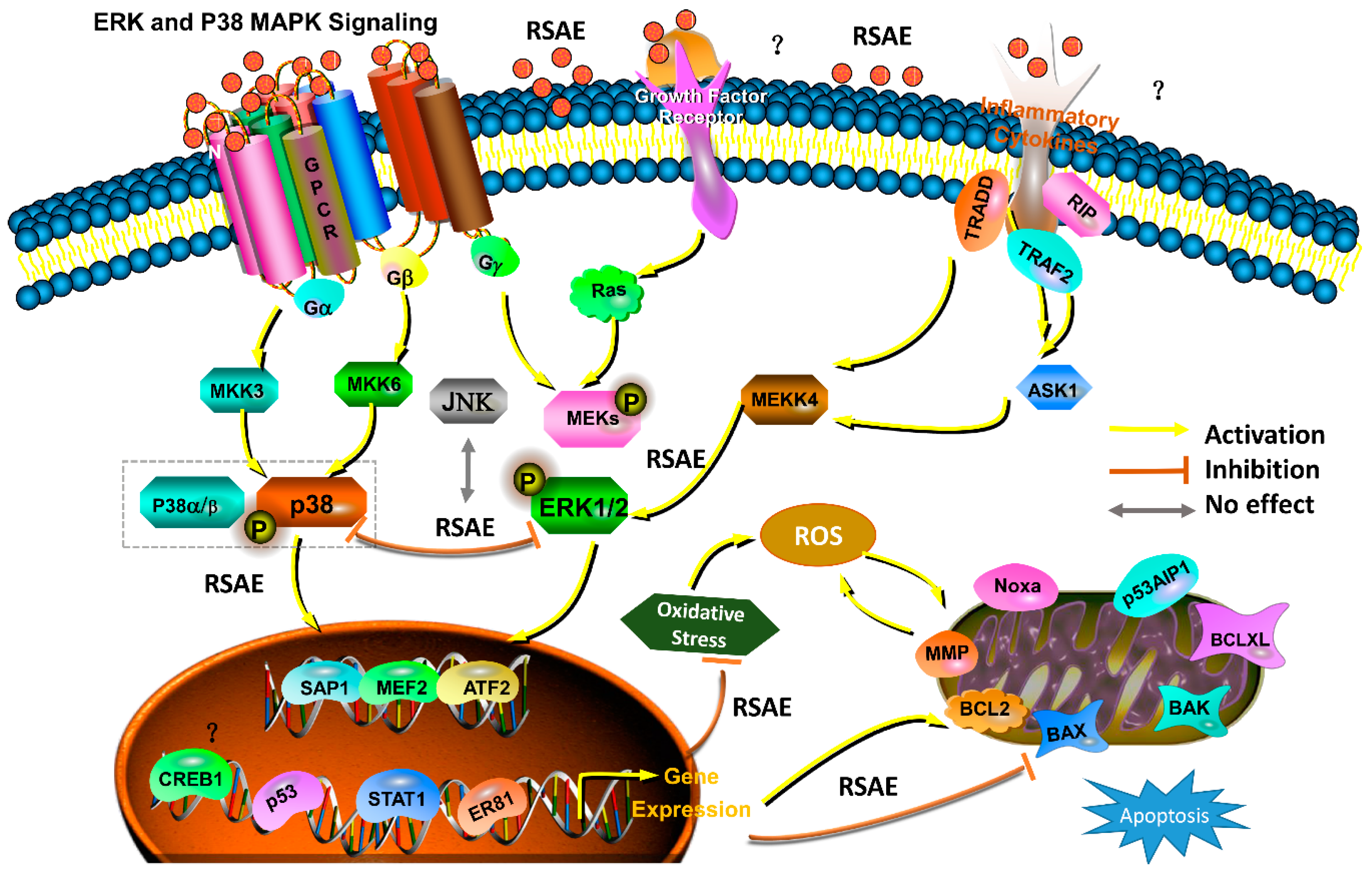 Molecules 23 02401 g009
