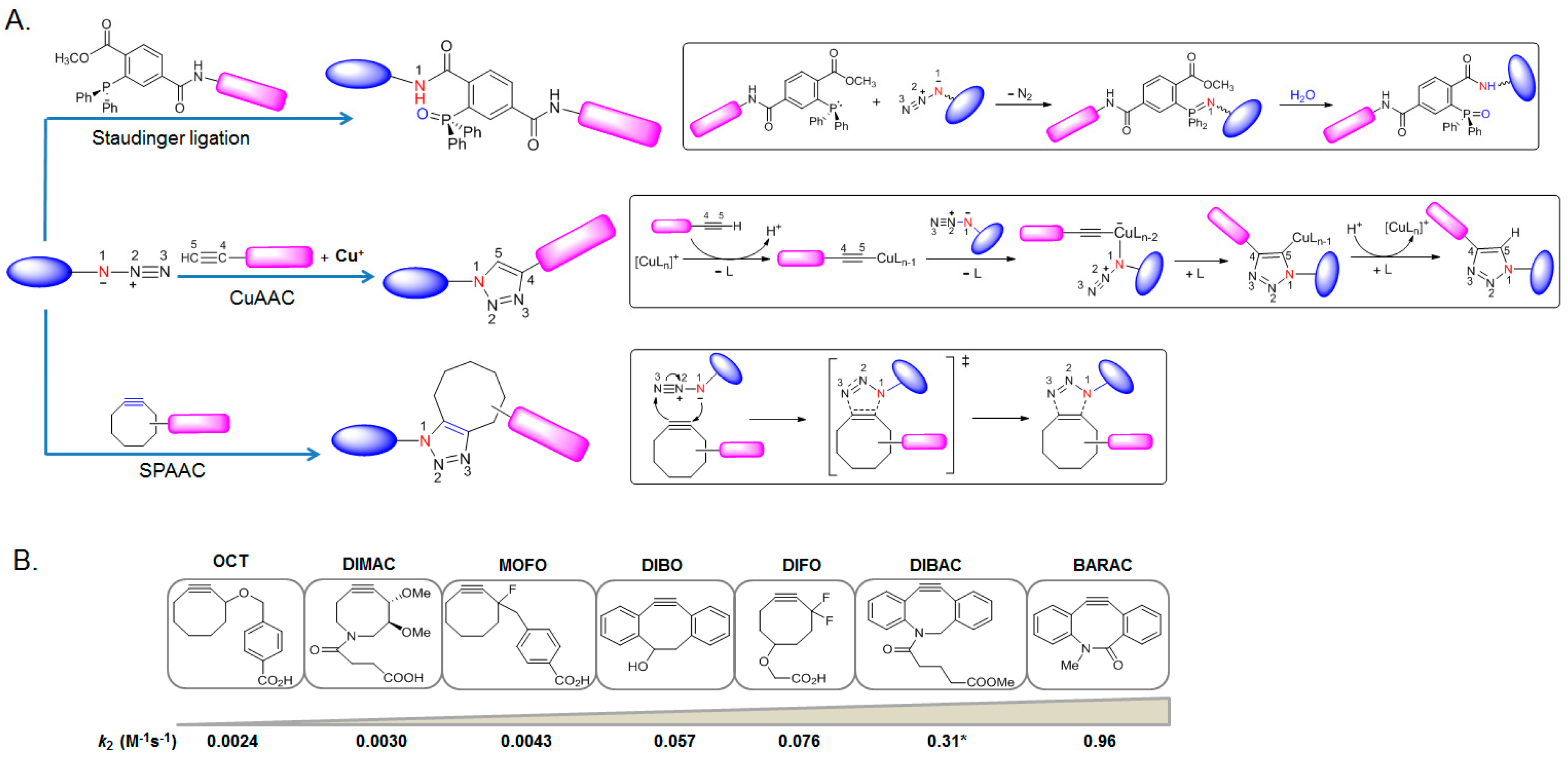 Molecules 23 02411 g003