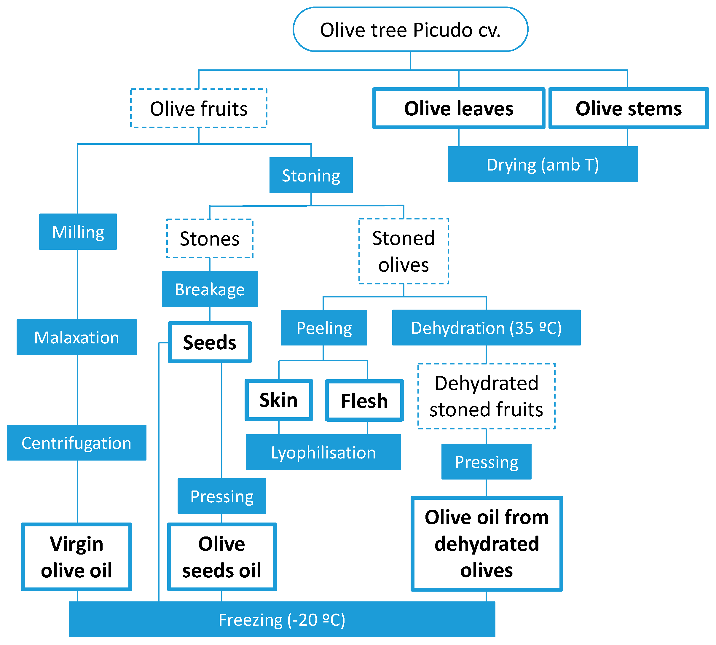 Molecules 23 02419 g004