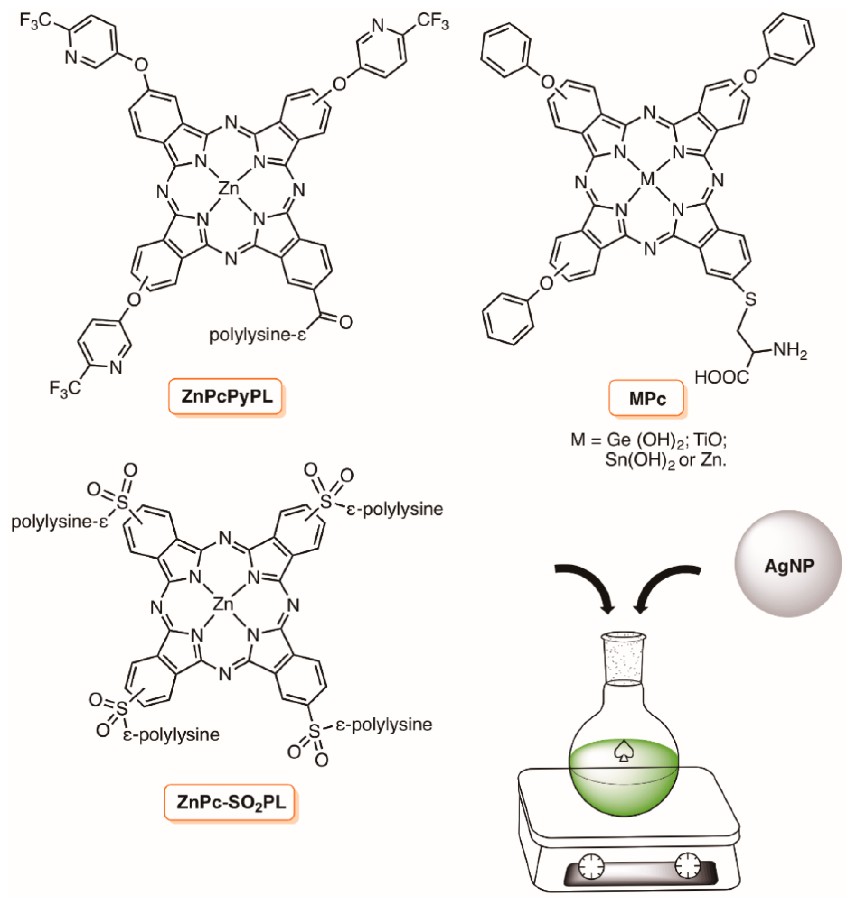 Molecules 23 02424 g006