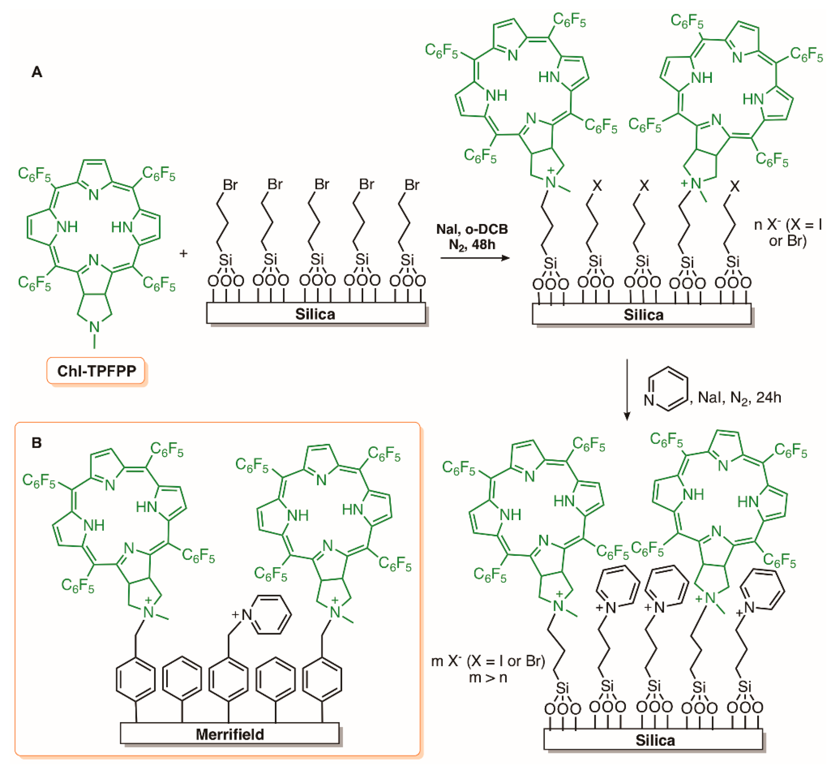Molecules 23 02424 g012