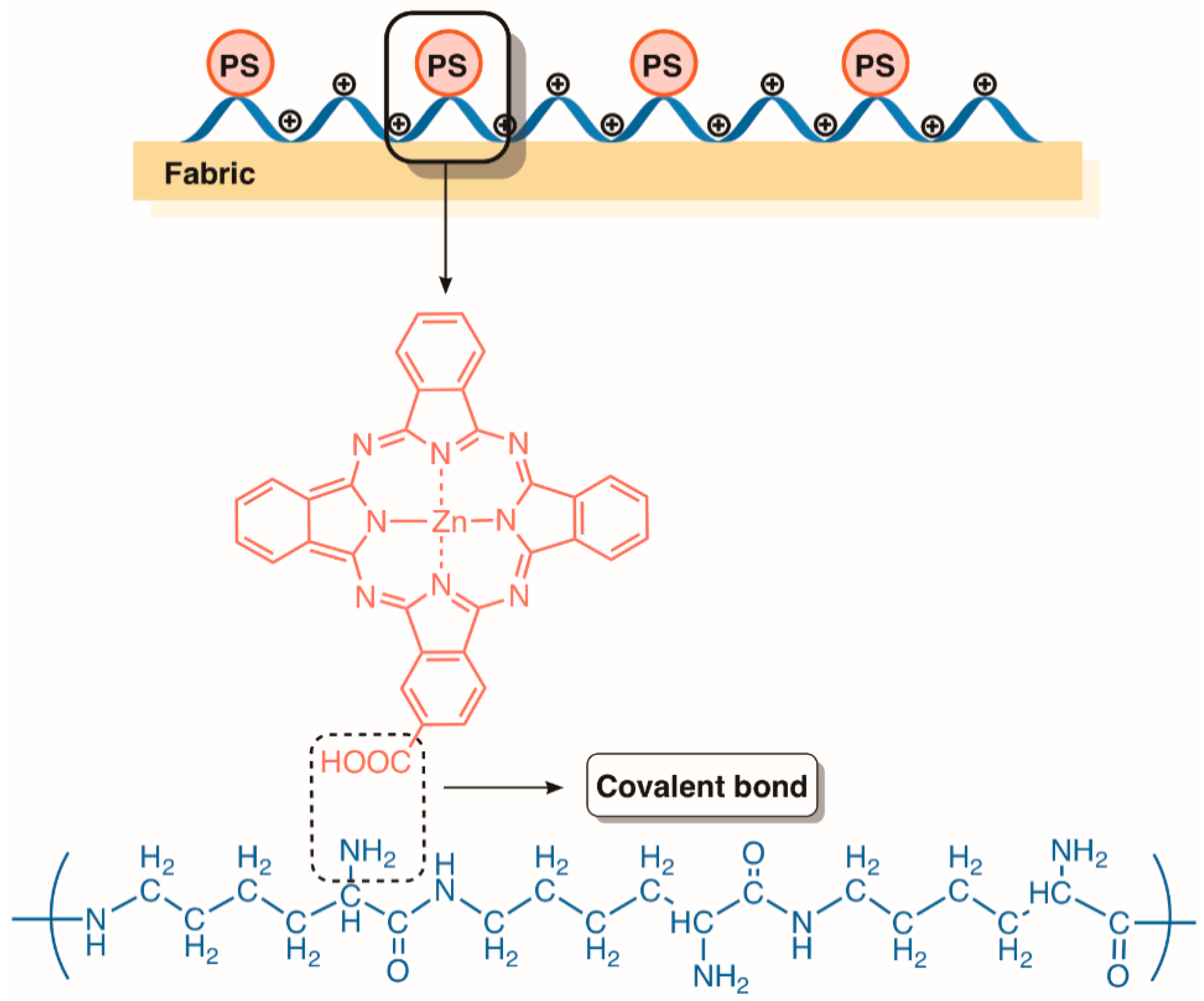 Molecules 23 02424 g028