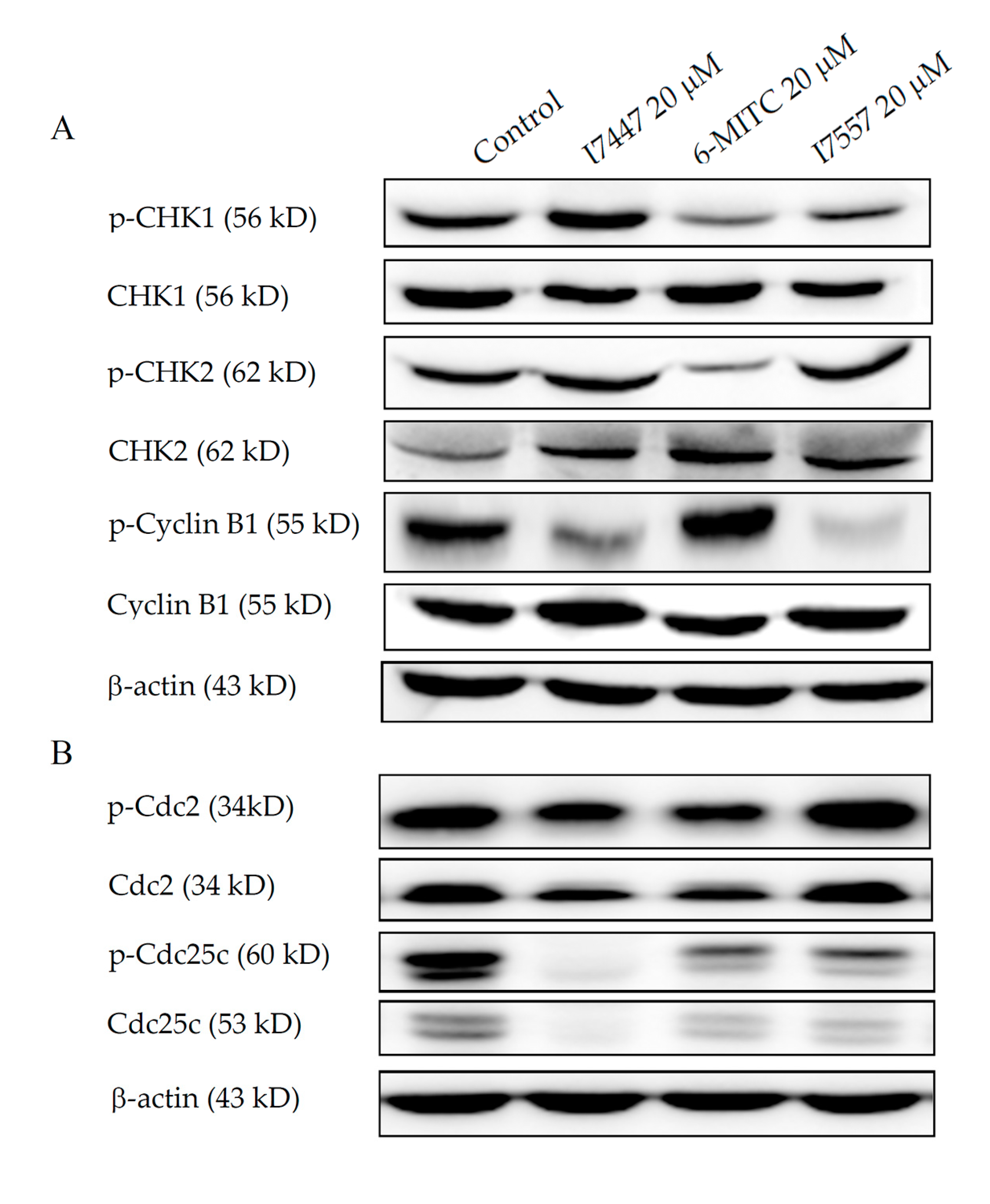 Molecules 23 02427 g006a