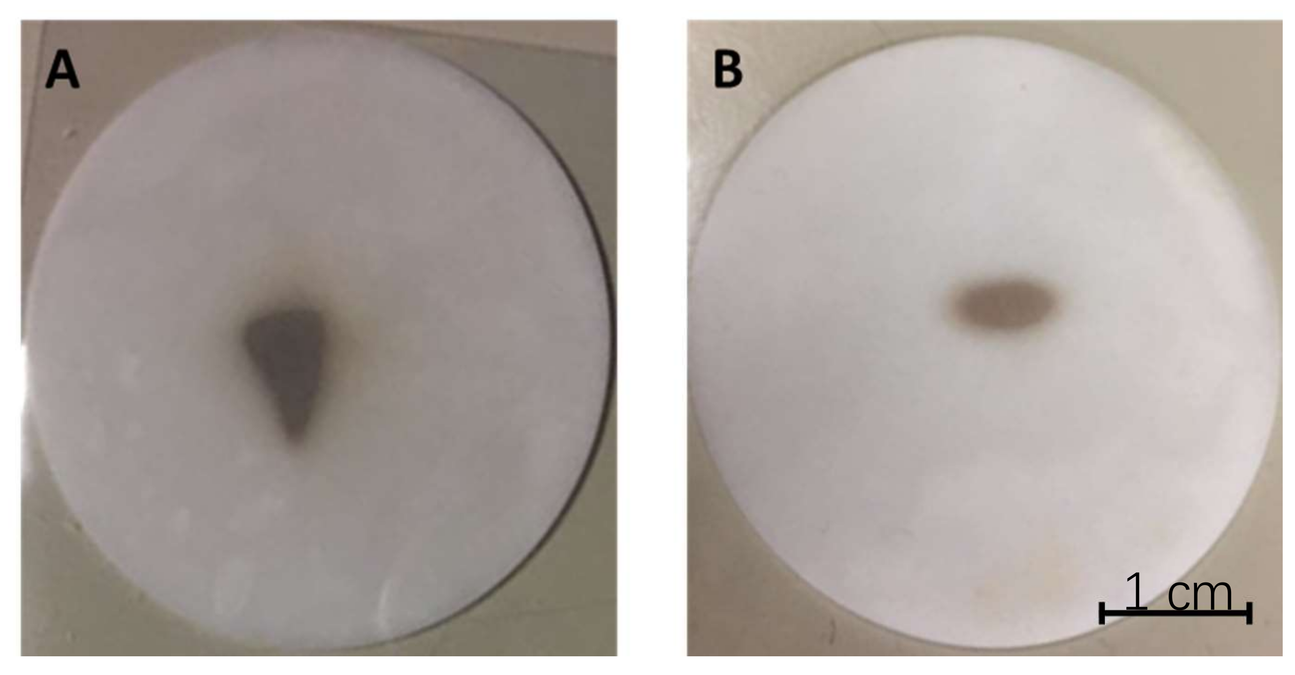 Molecules 23 02437 g003