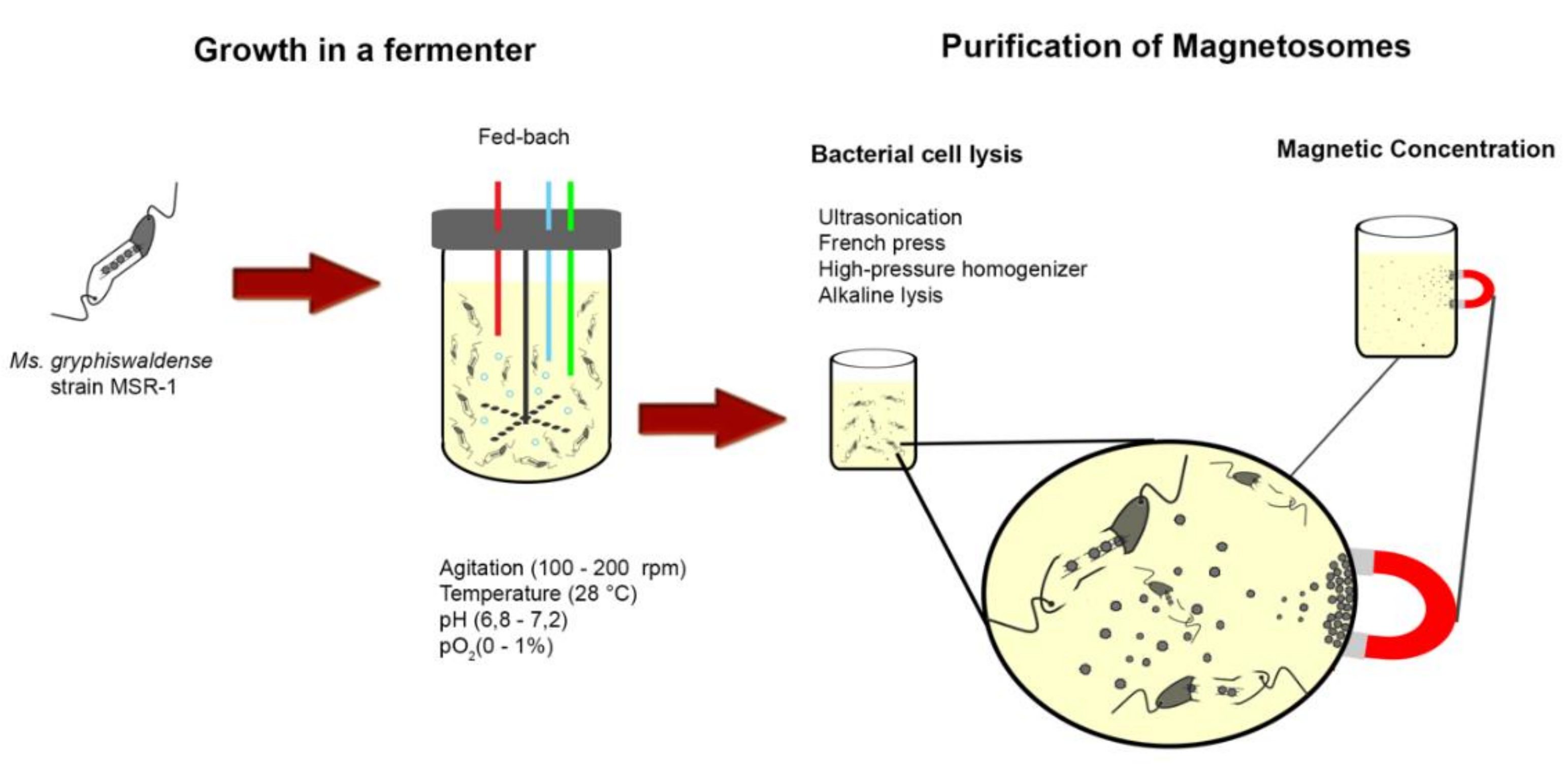 Molecules 23 02438 g005 Molecules 23 02438 g005