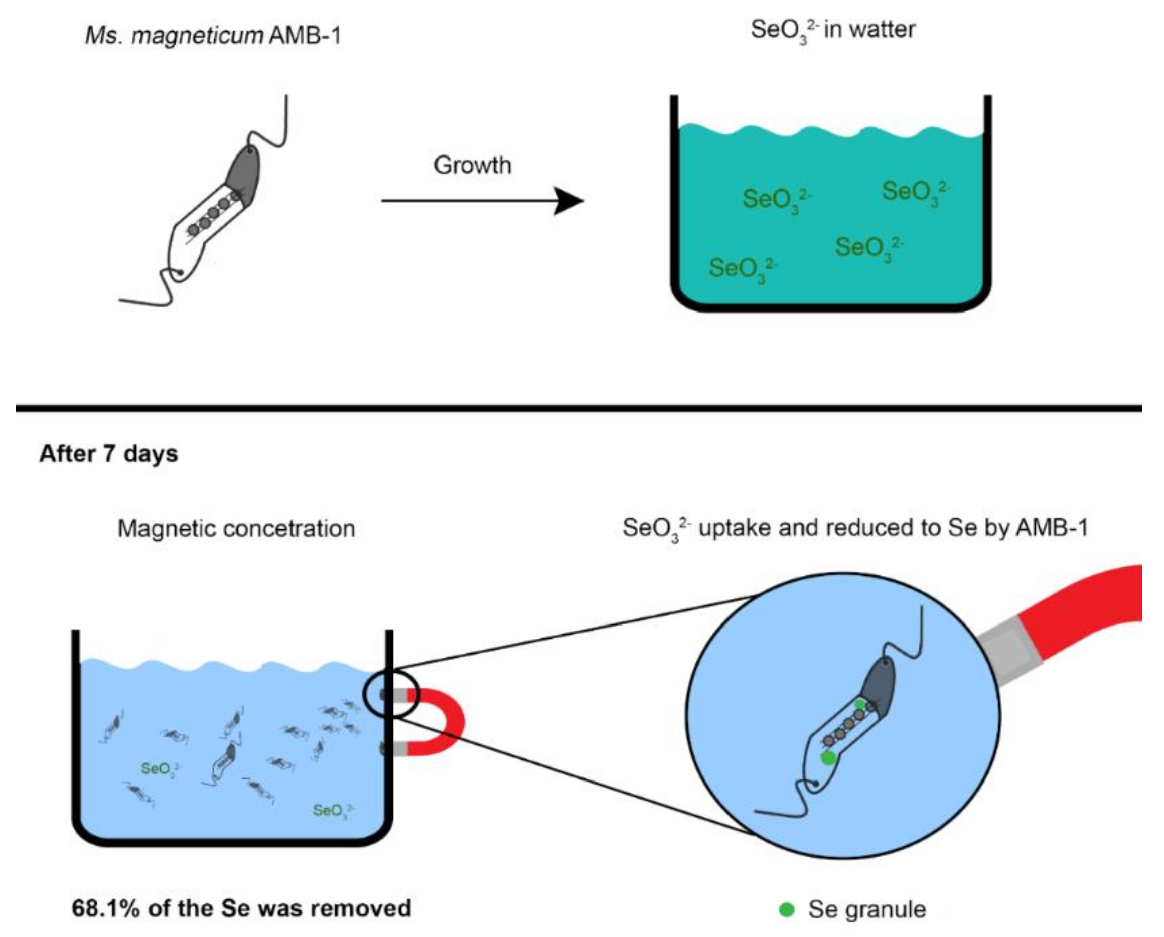 Molecules 23 02438 g006 Molecules 23 02438 g006