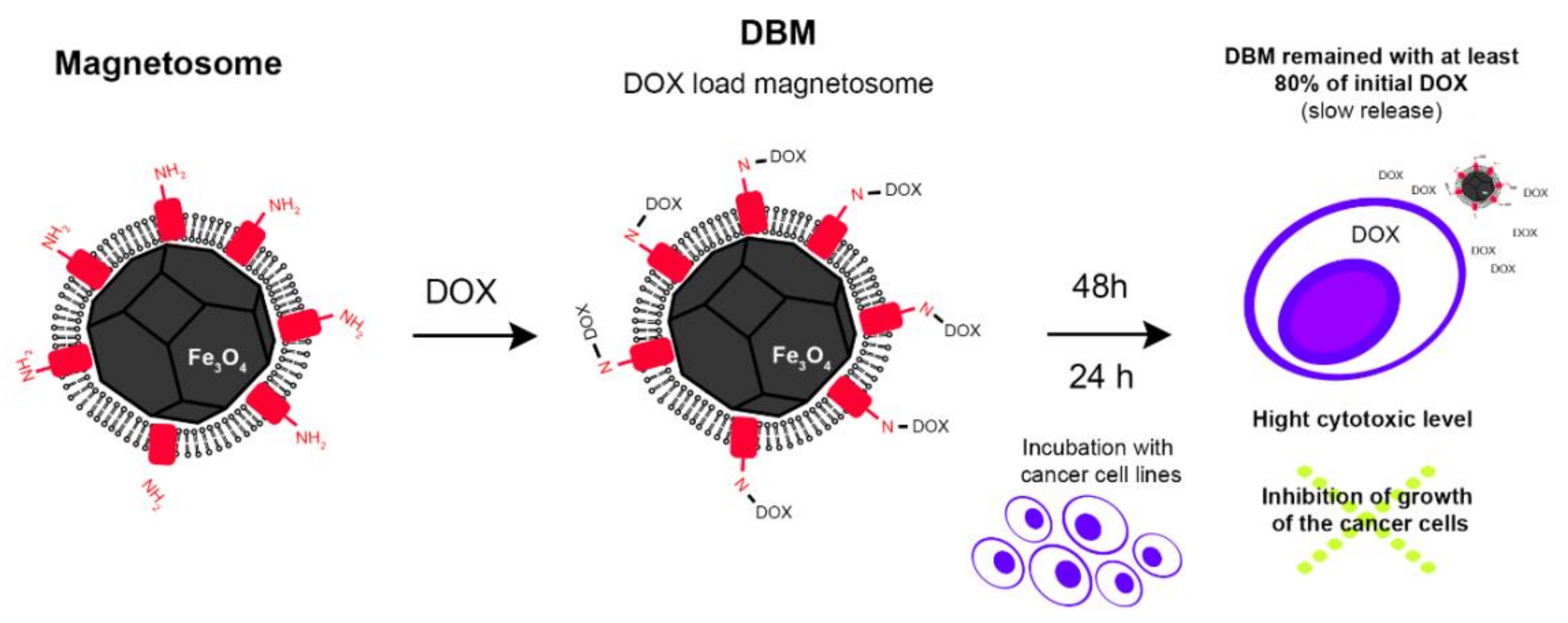 Molecules 23 02438 g007 Molecules 23 02438 g007