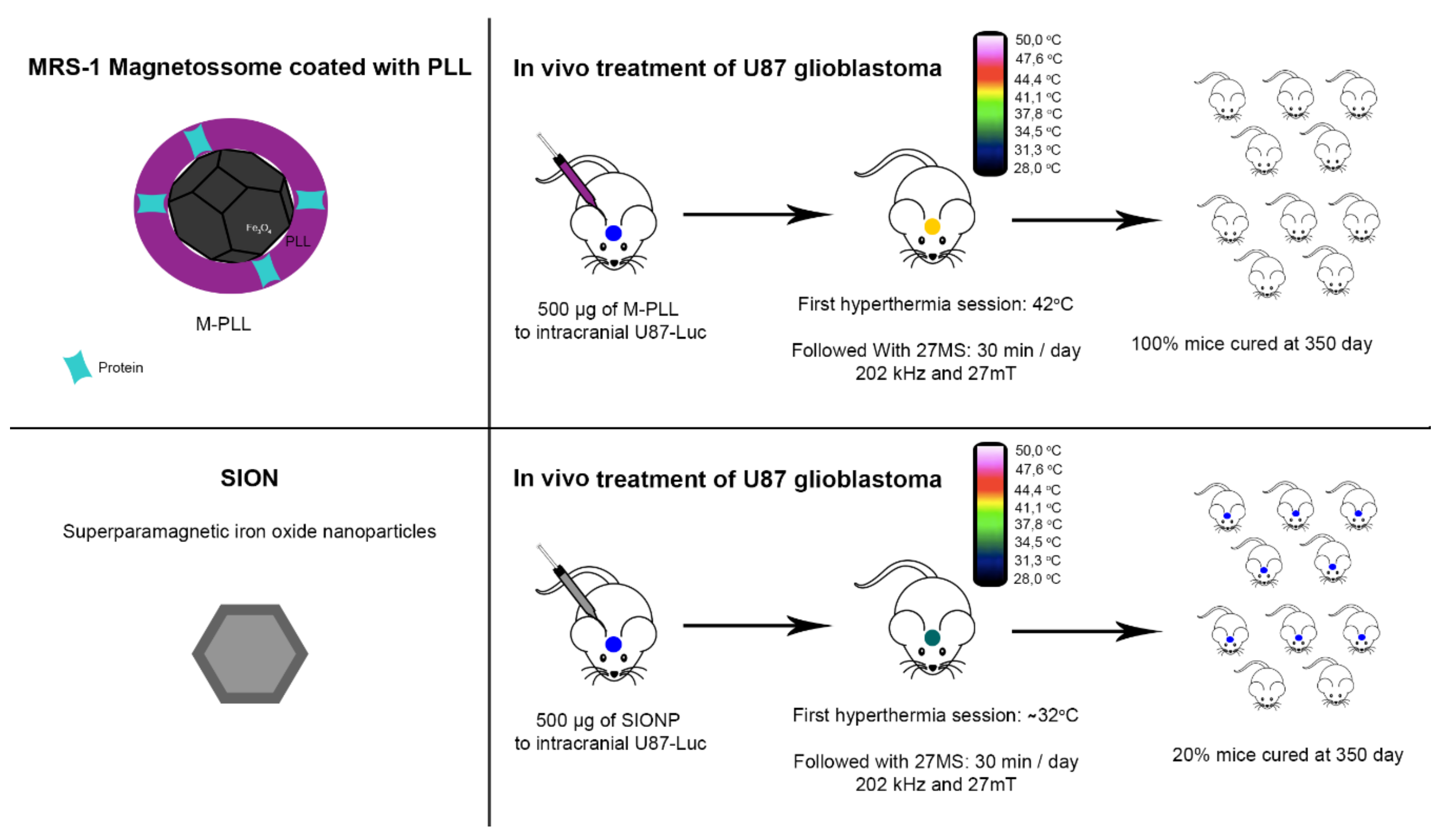 Molecules 23 02438 g008 Molecules 23 02438 g008