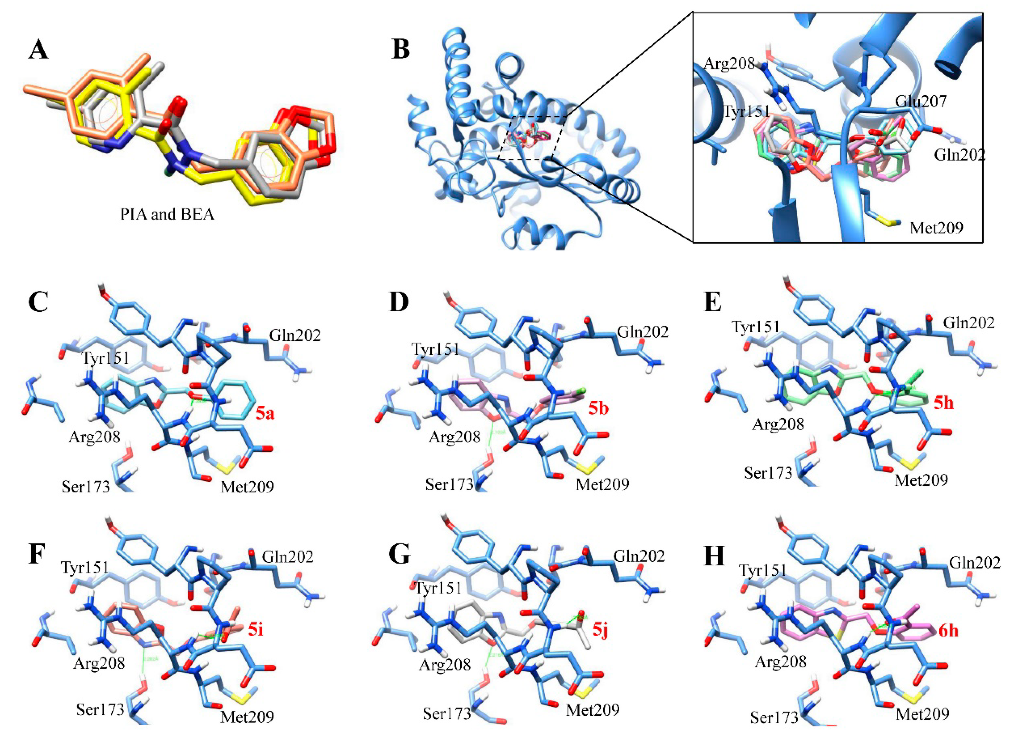 Molecules 23 02457 g004
