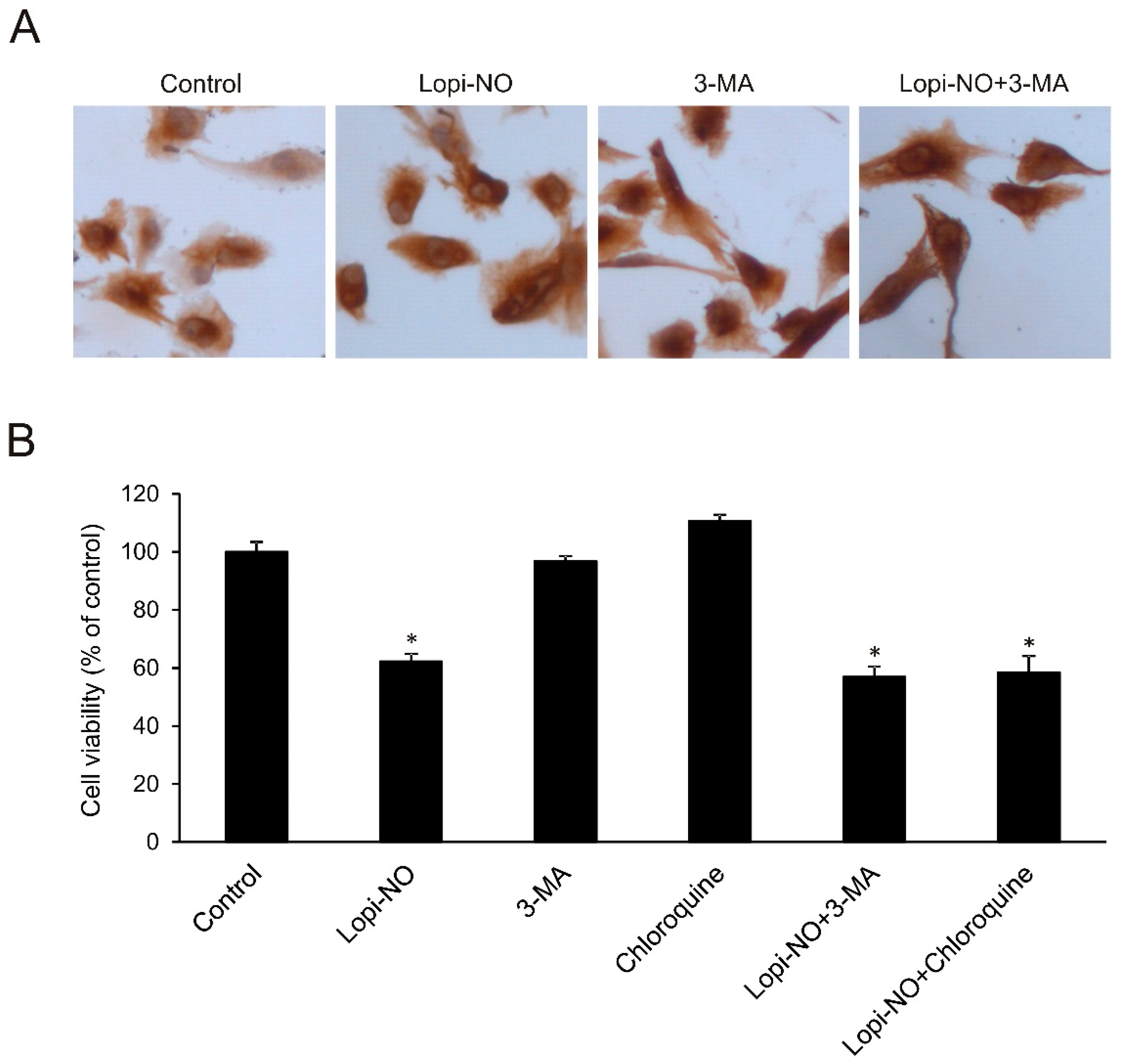 Molecules 23 02463 g004 Molecules 23 02463 g004