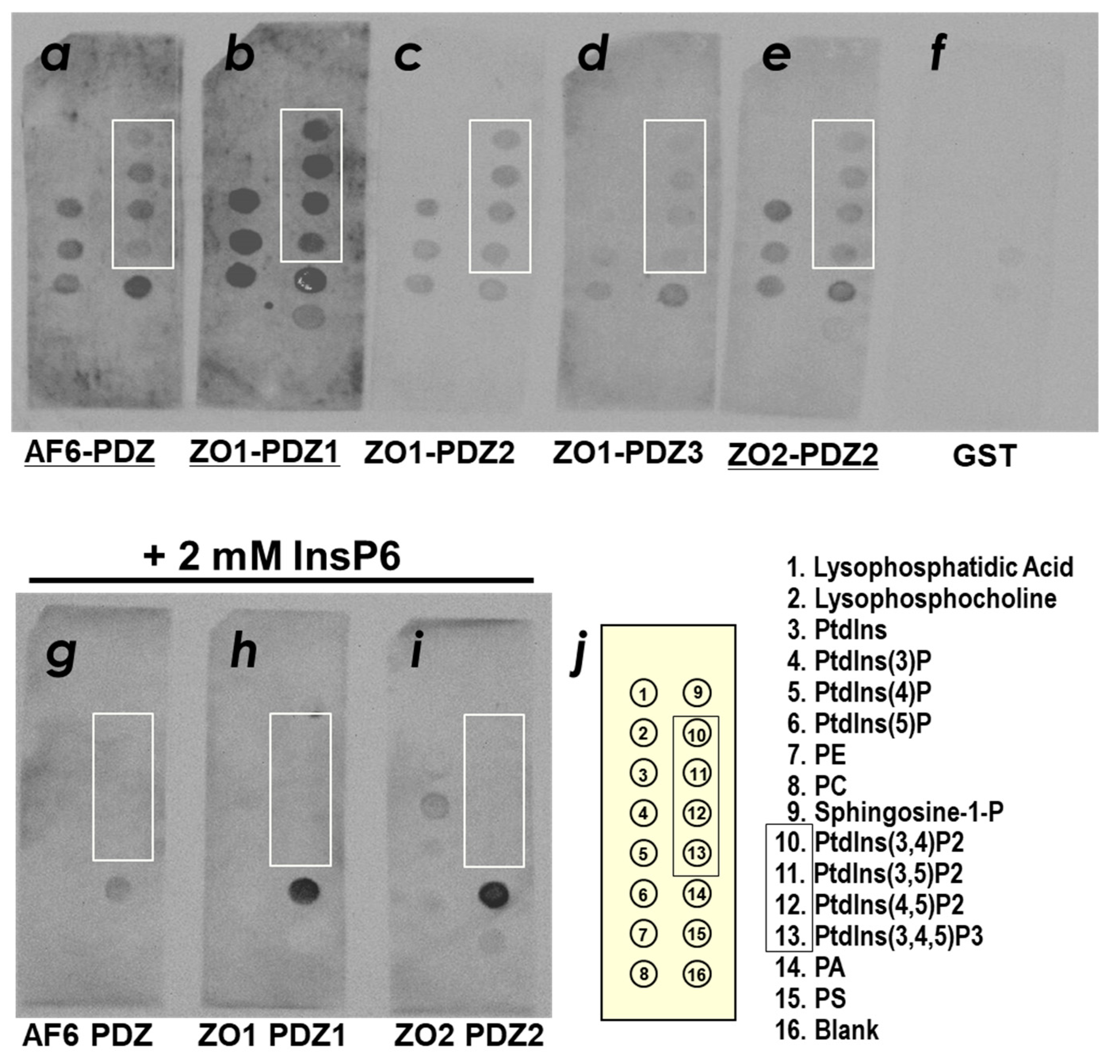 Molecules 23 02465 g002 Molecules 23 02465 g002