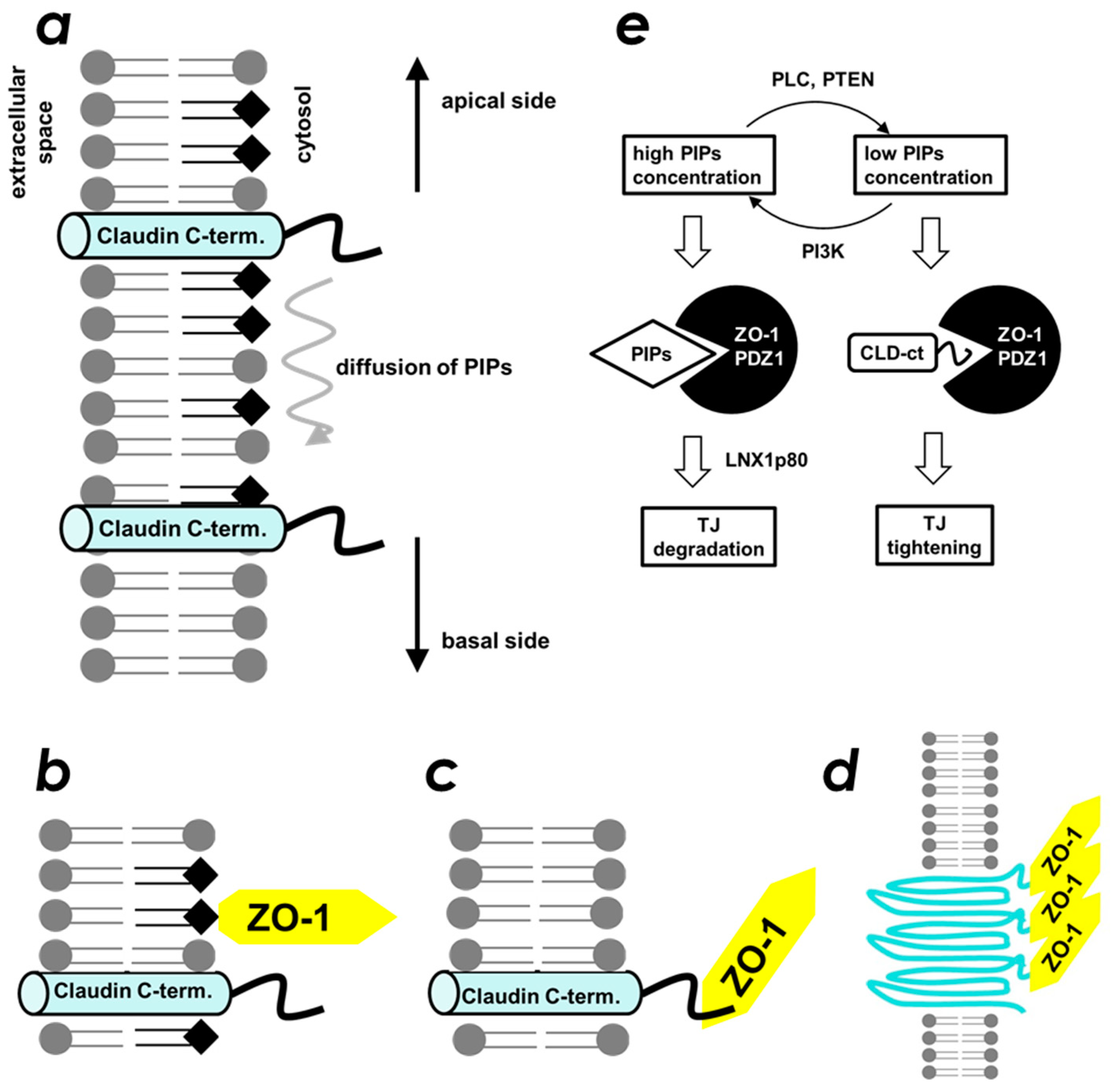 Molecules 23 02465 g007 Molecules 23 02465 g007