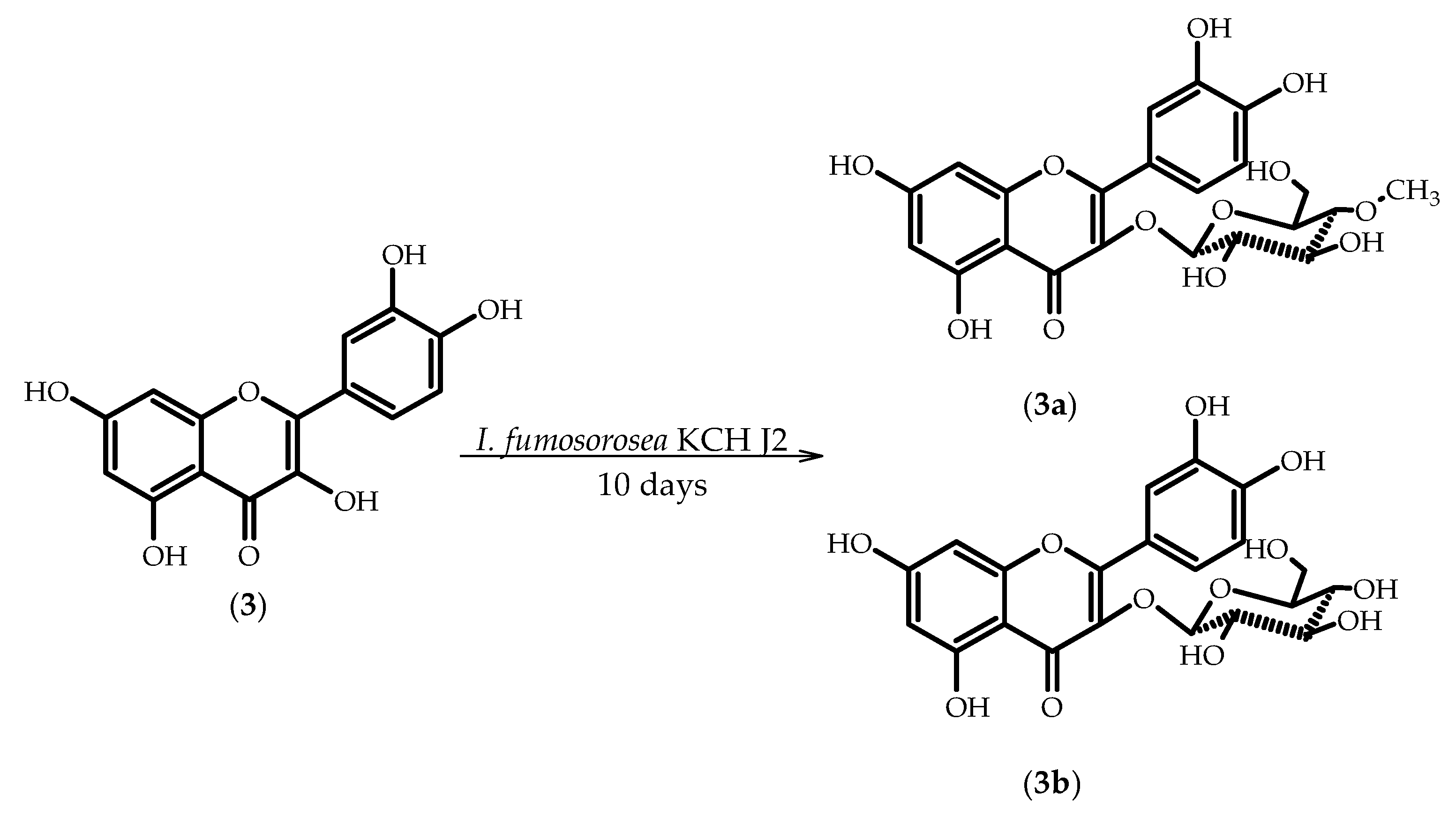 Molecules 23 02477 sch003