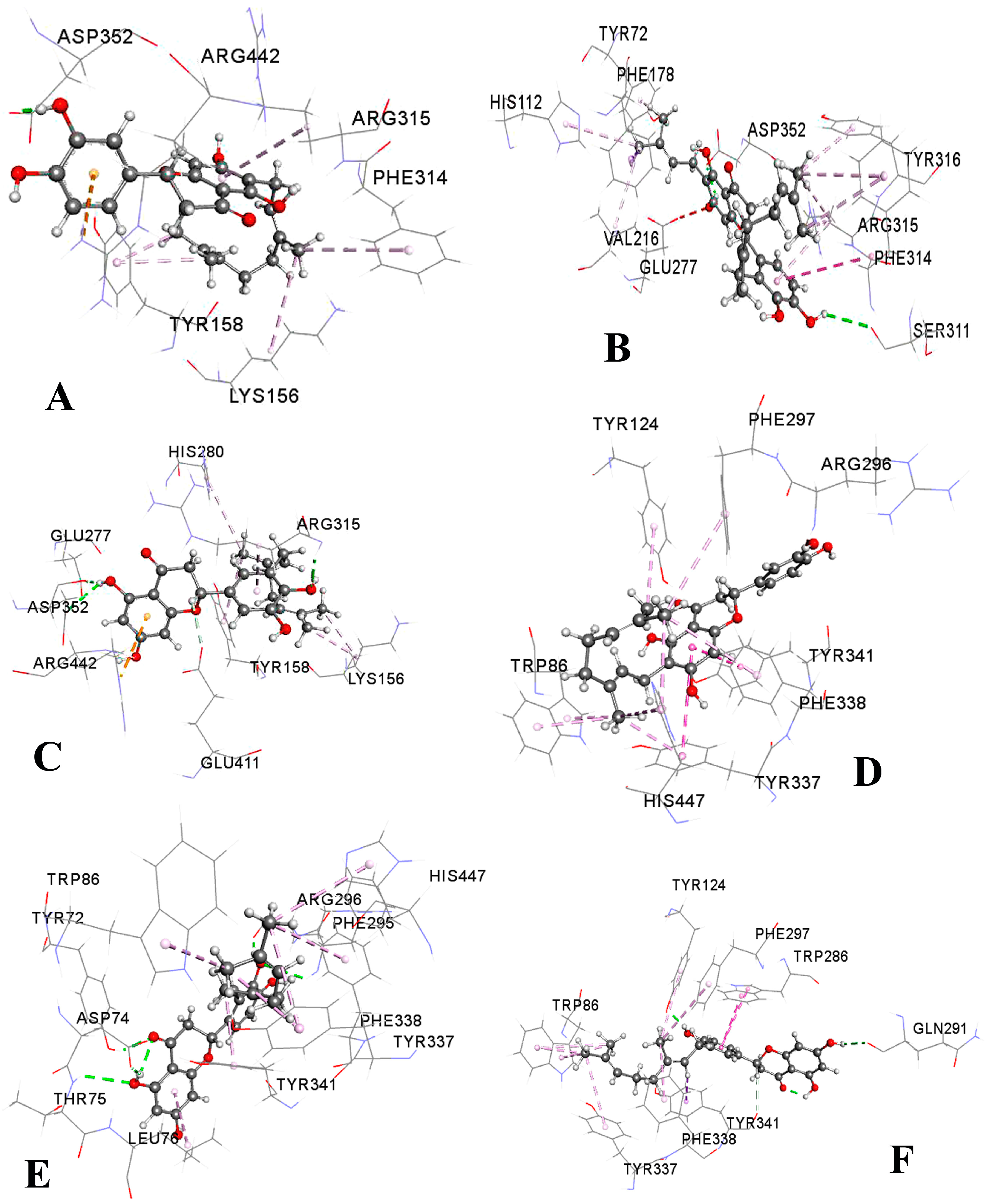 Molecules 23 02479 g006 Molecules 23 02479 g006