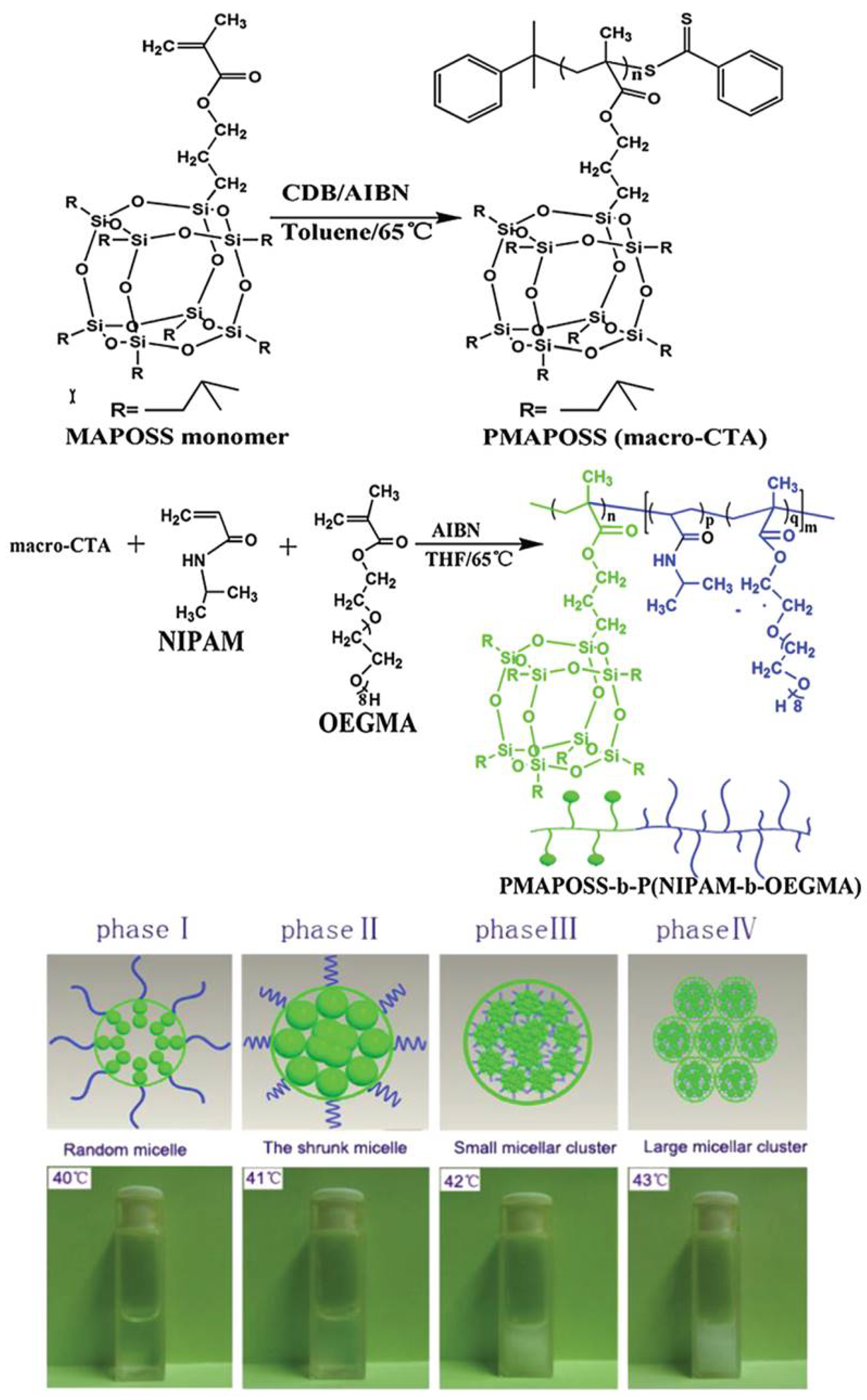 Molecules 23 02481 g003