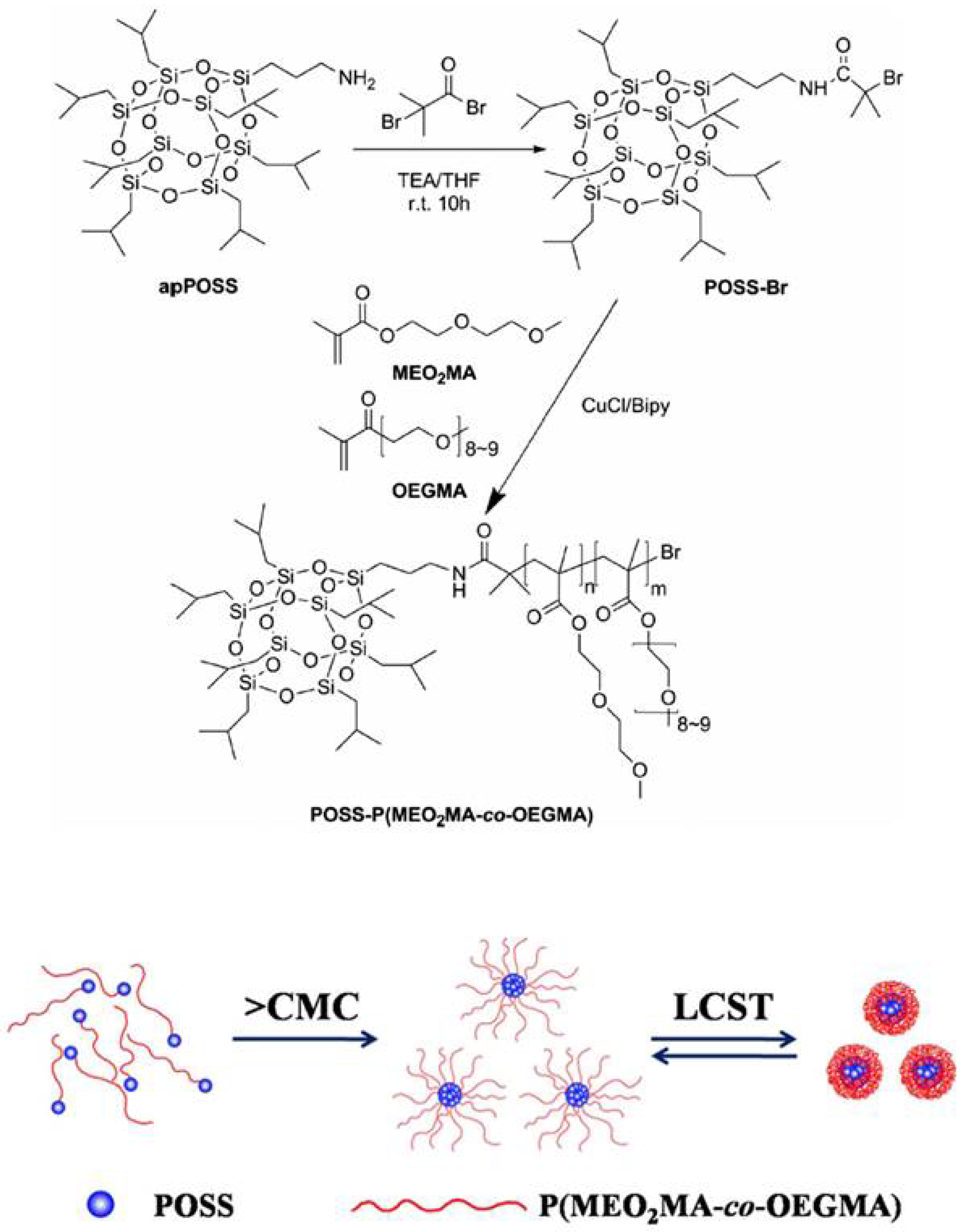 Molecules 23 02481 g005