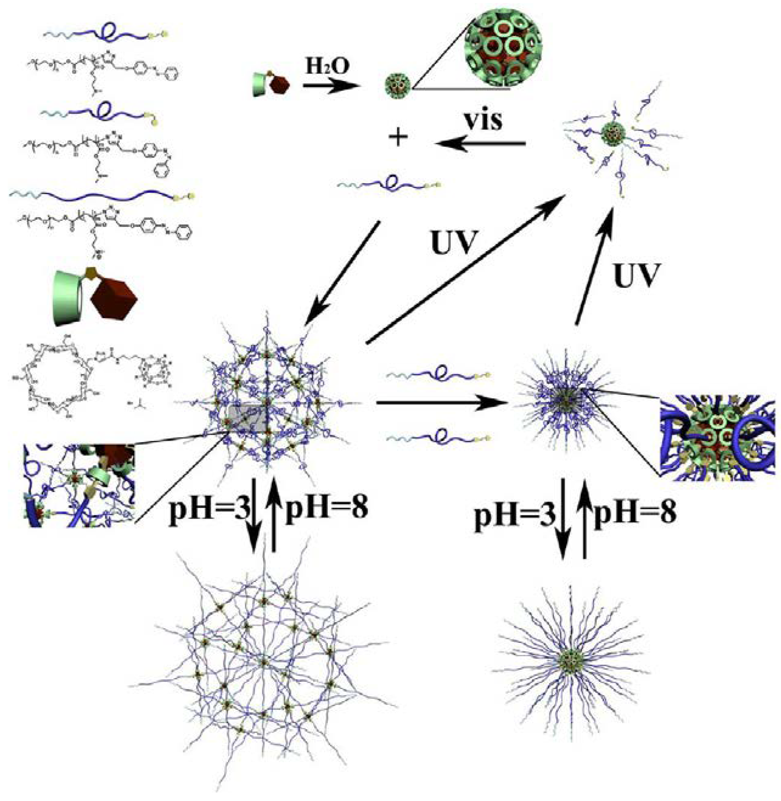 Molecules 23 02481 g006