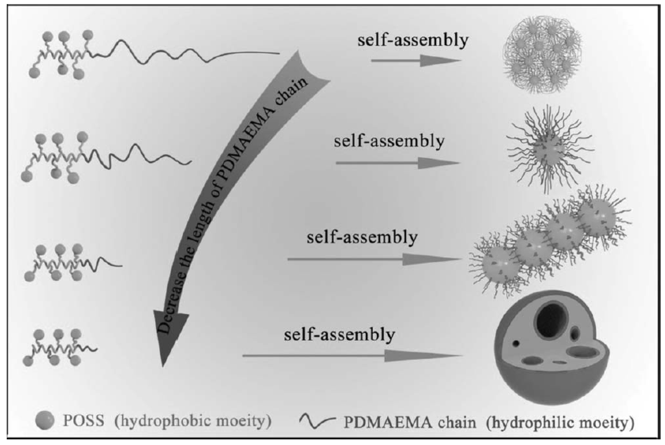 Molecules 23 02481 g009