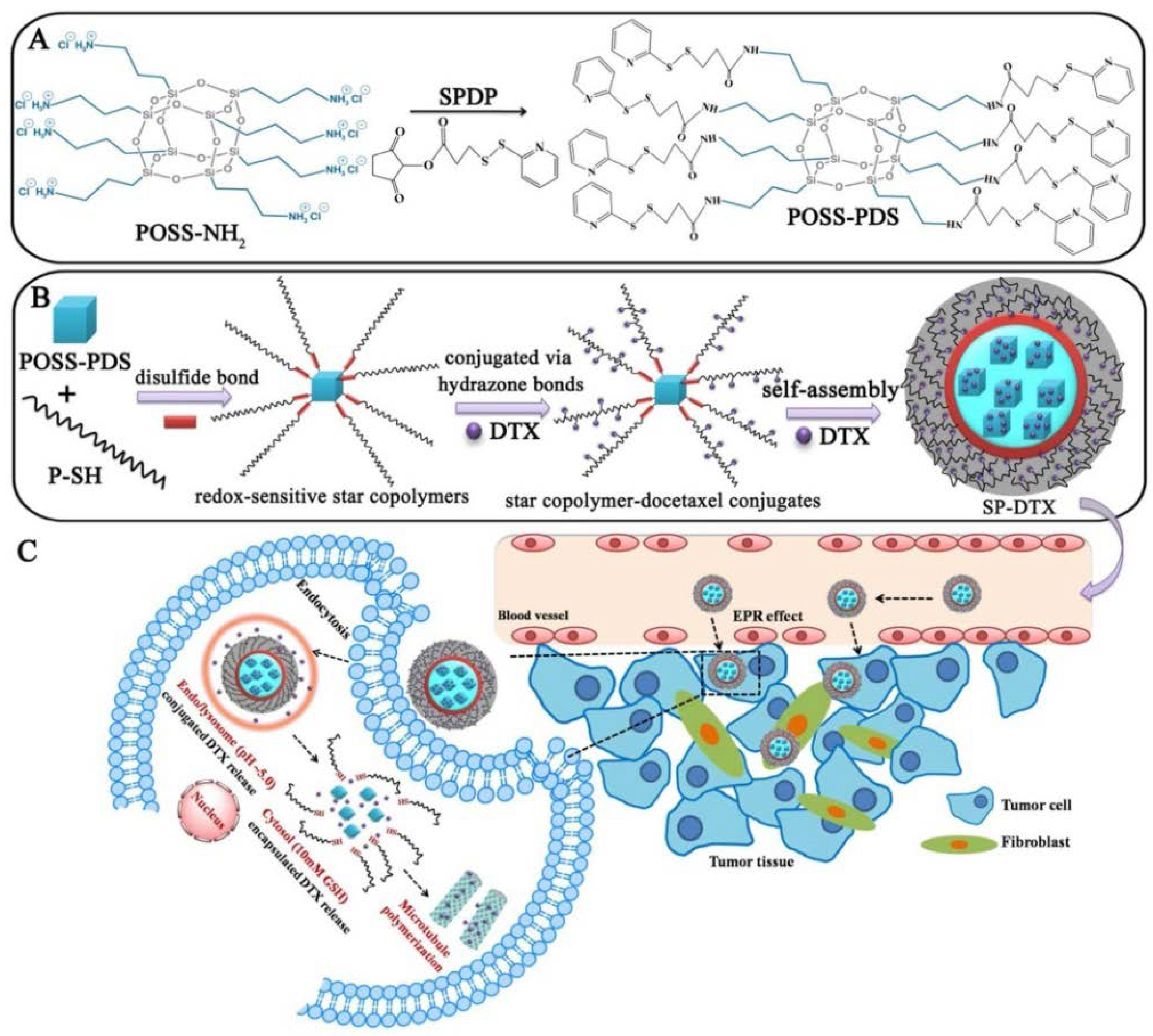 Molecules 23 02481 g012