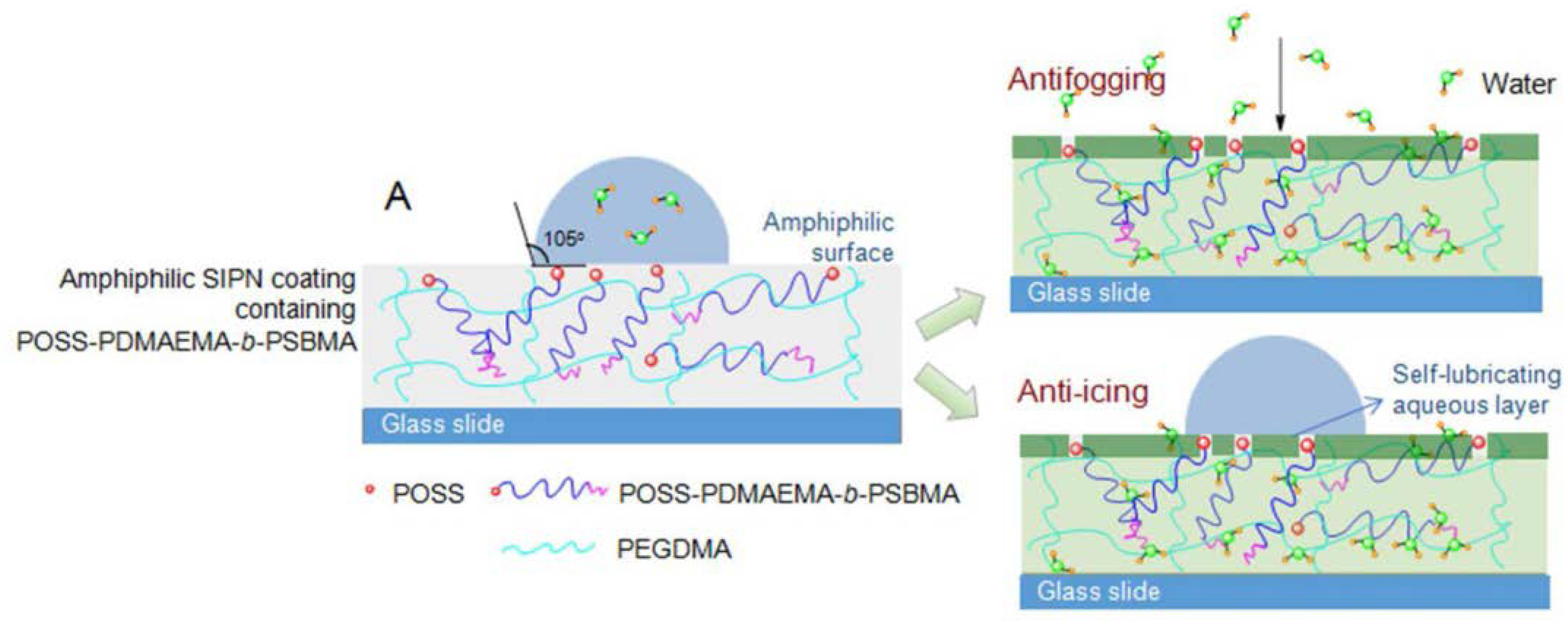 Molecules 23 02481 g016