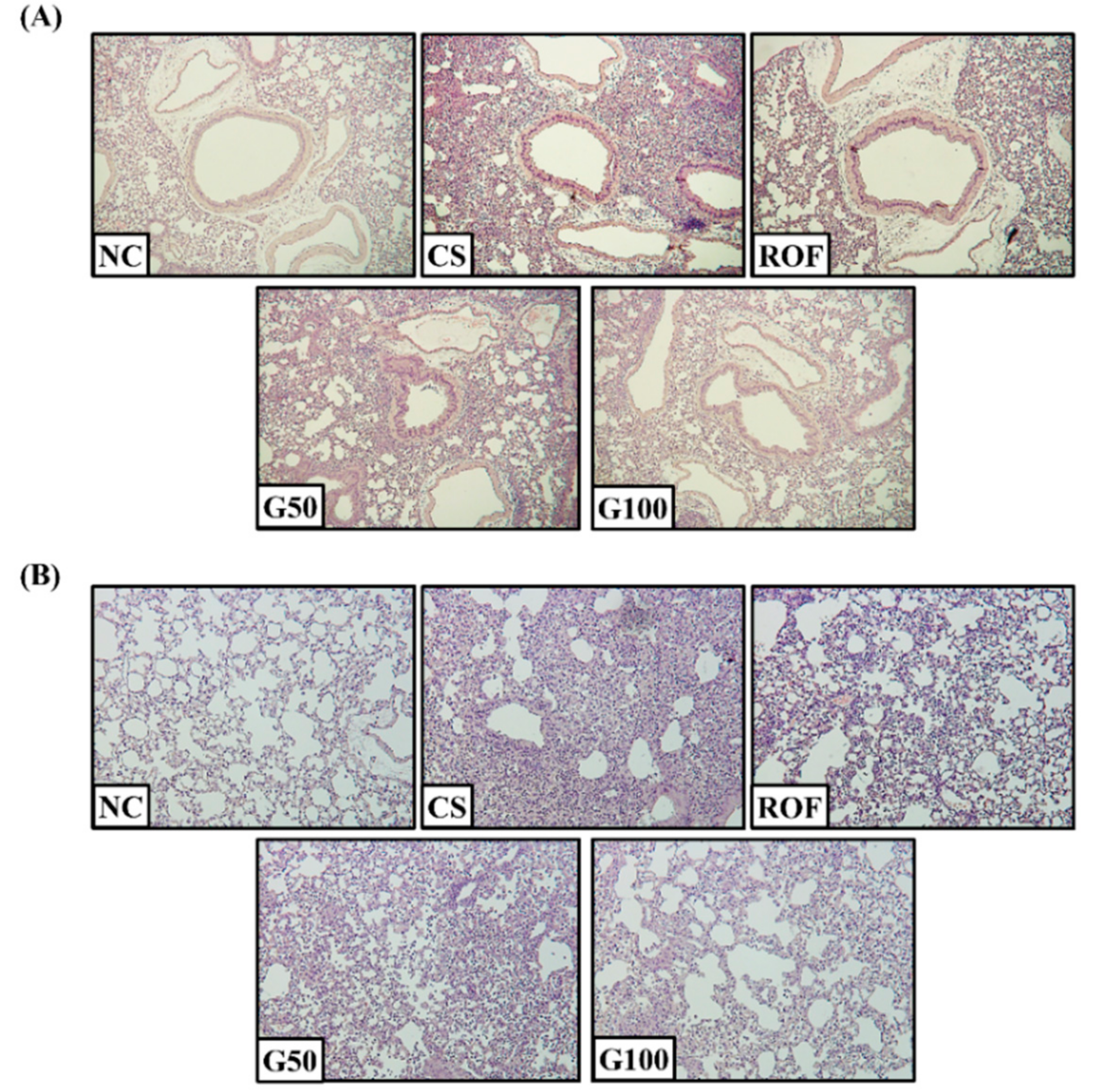 Molecules 23 02489 g002