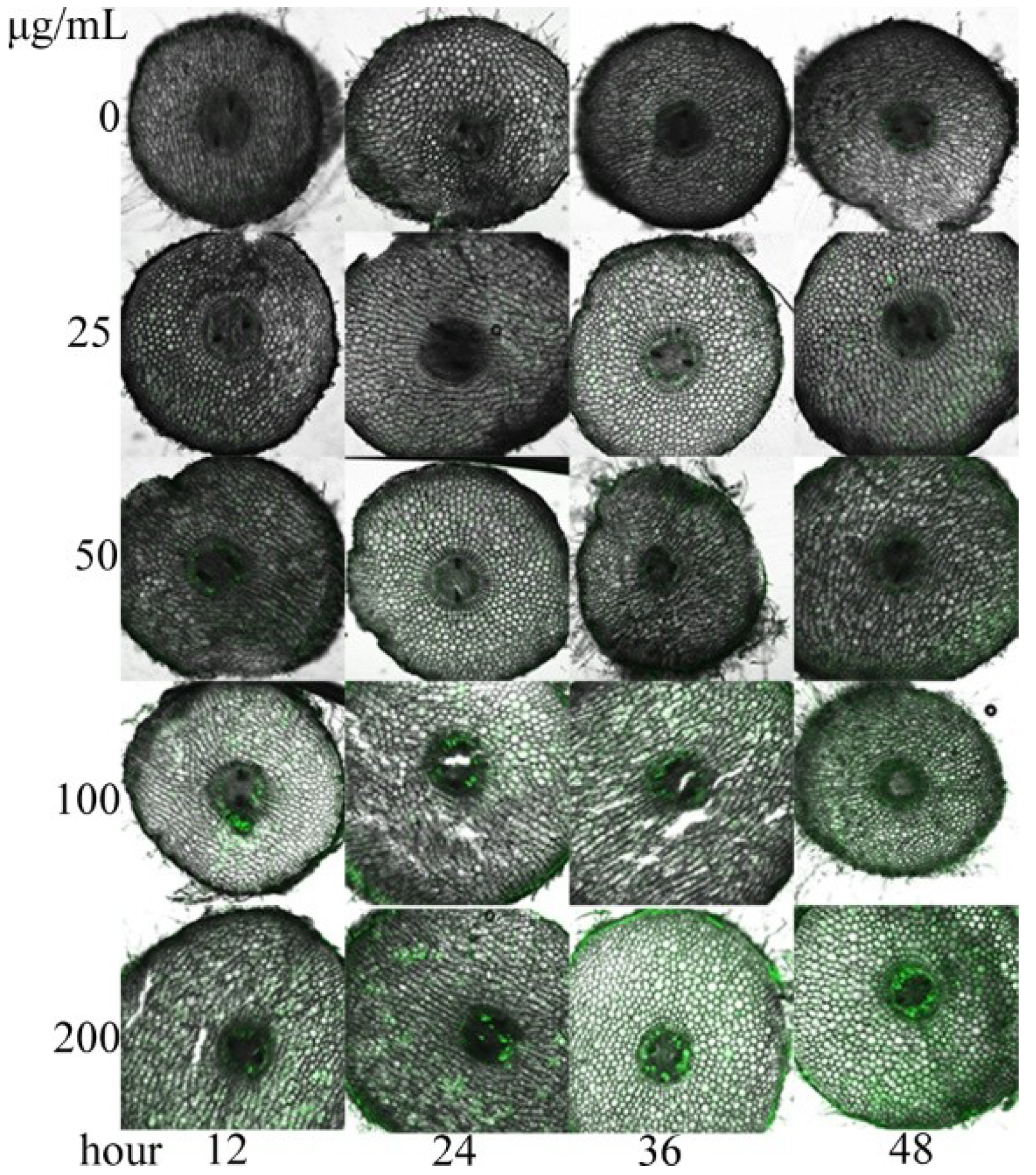 Molecules 23 02506 g006 Molecules 23 02506 g006