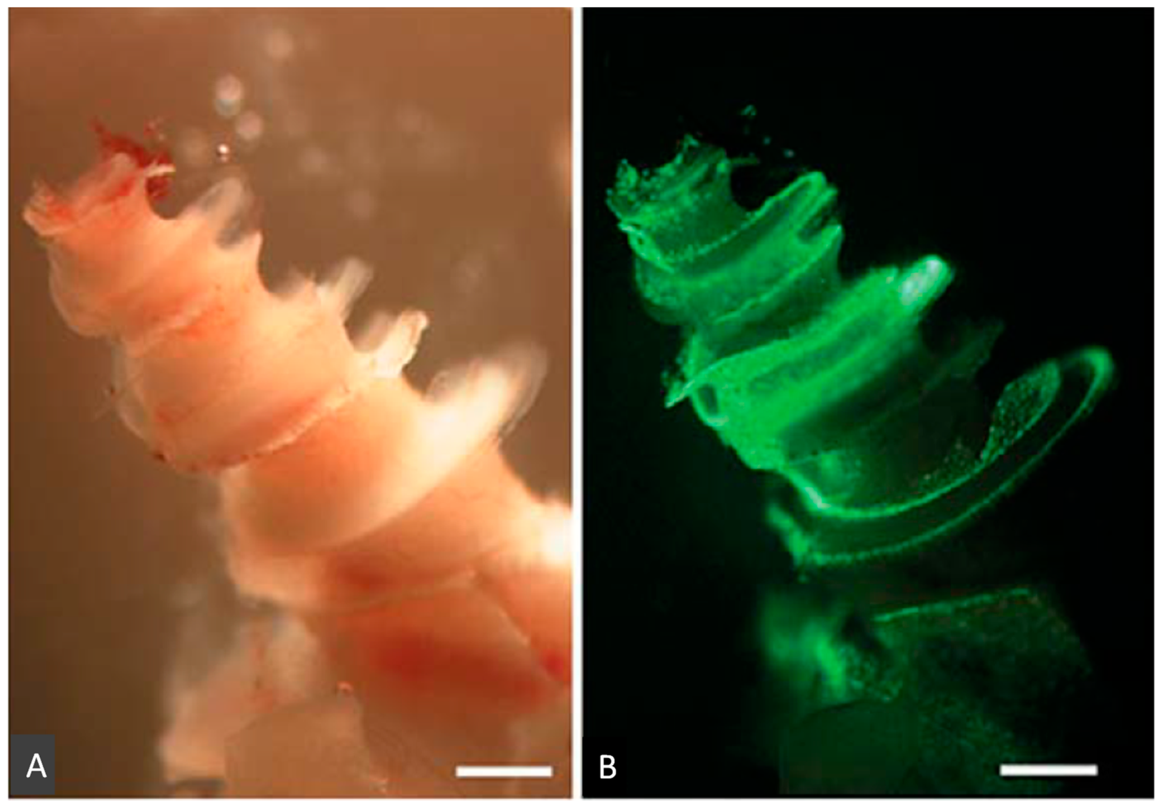 Molecules 23 02507 g002