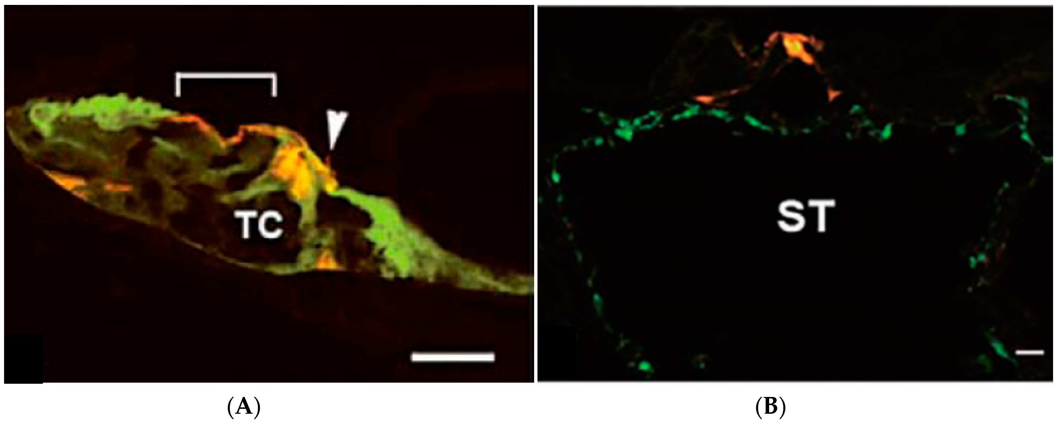 Molecules 23 02507 g003