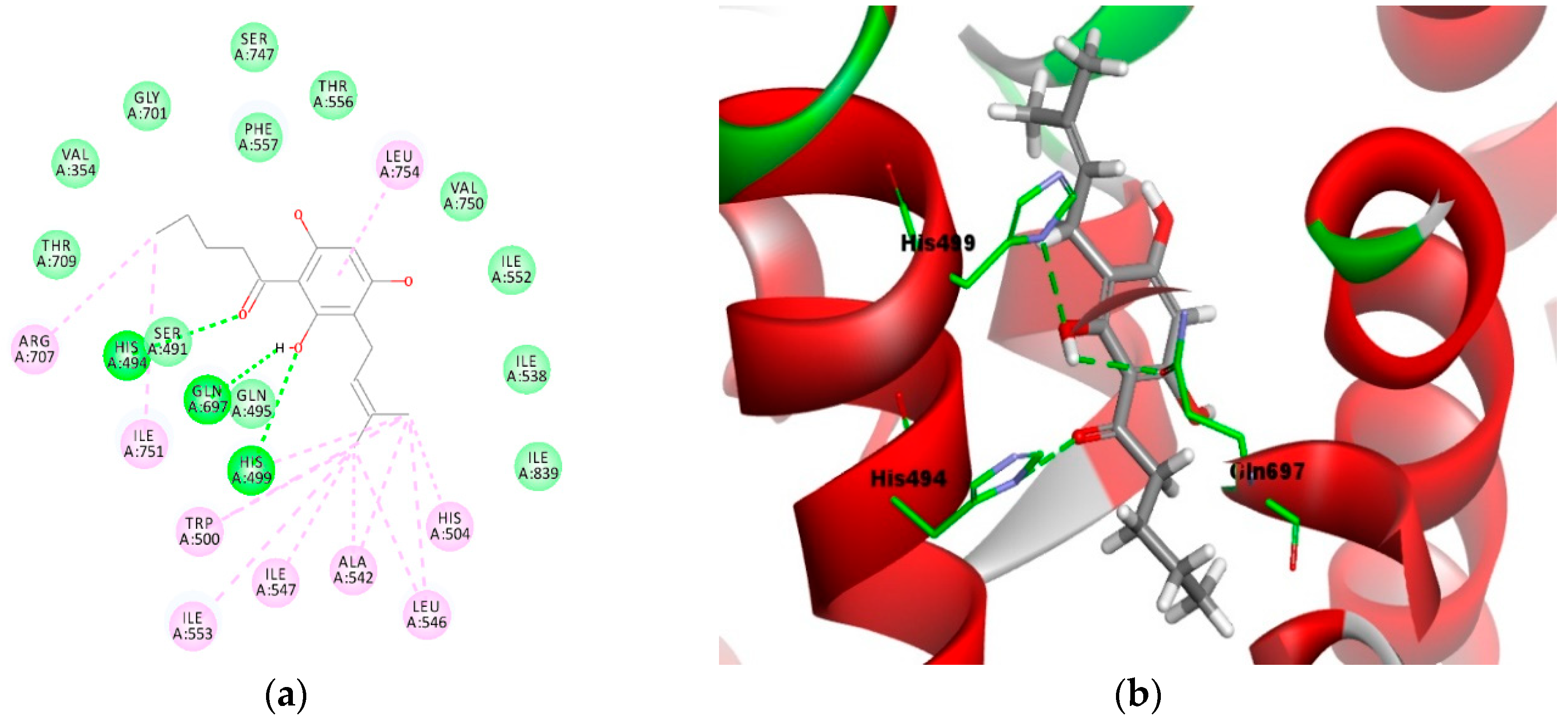 Molecules 23 02509 g005 Molecules 23 02509 g005