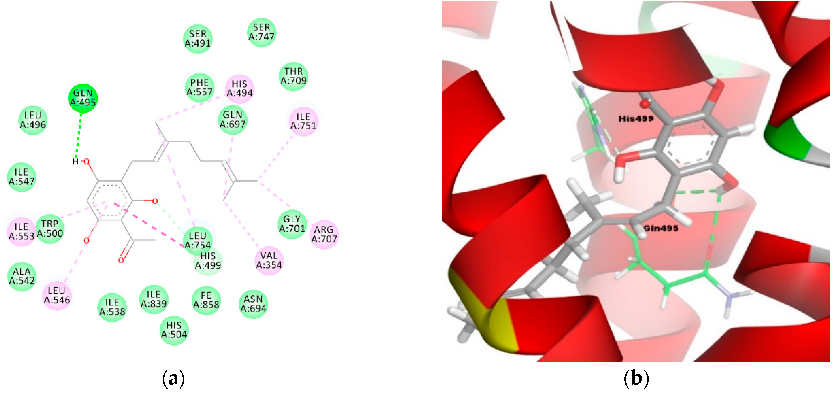 Molecules 23 02509 g006 Molecules 23 02509 g006