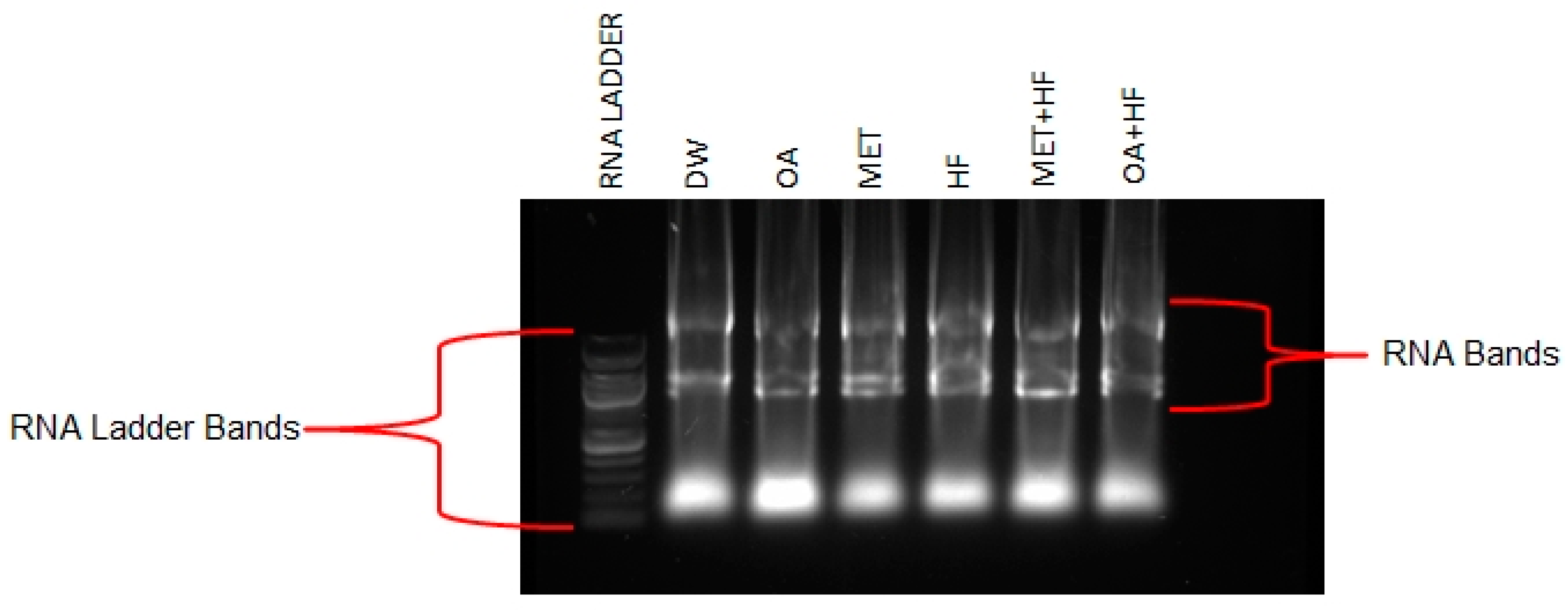 Molecules 23 02528 g010