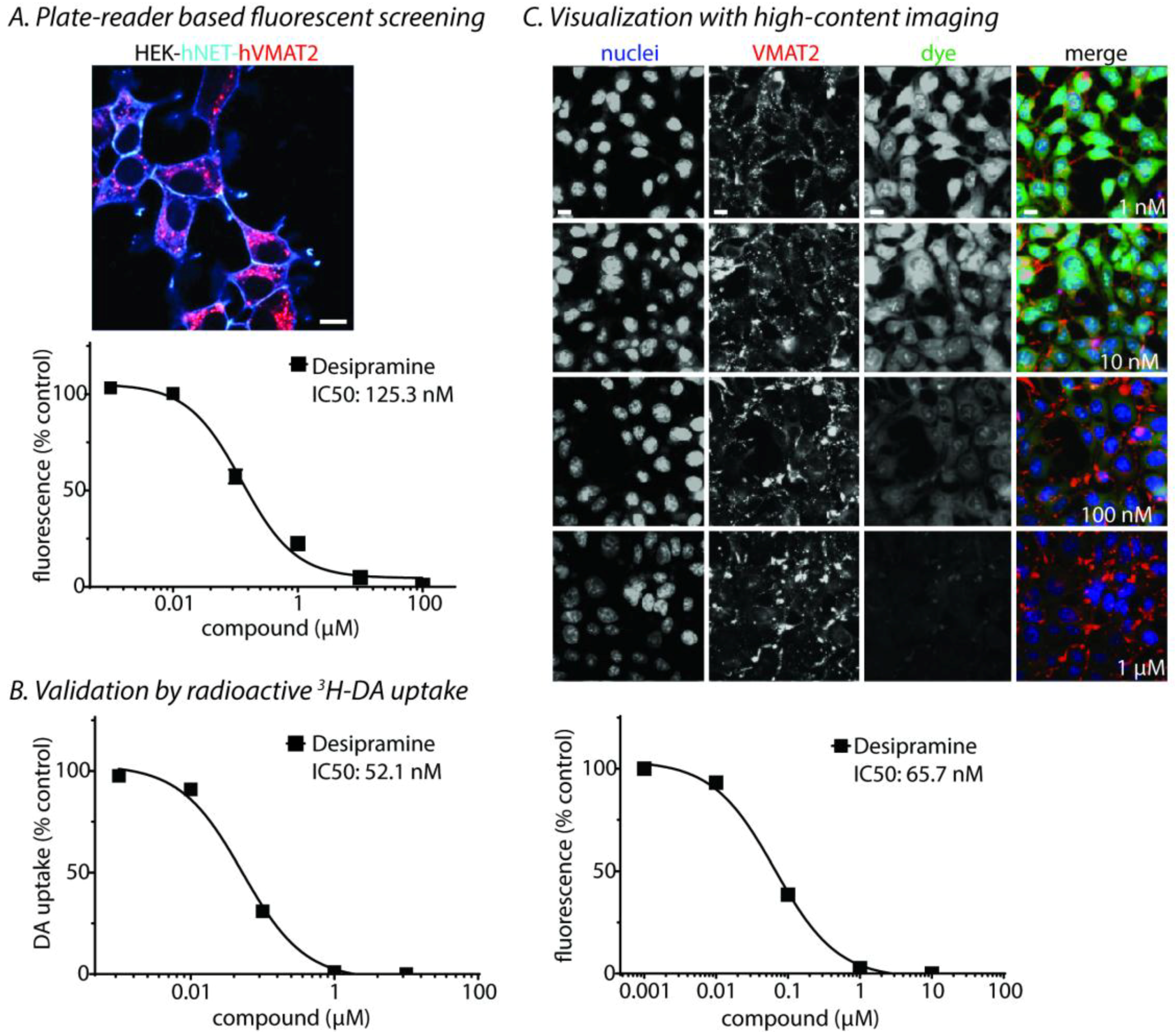 Molecules 23 02536 g001