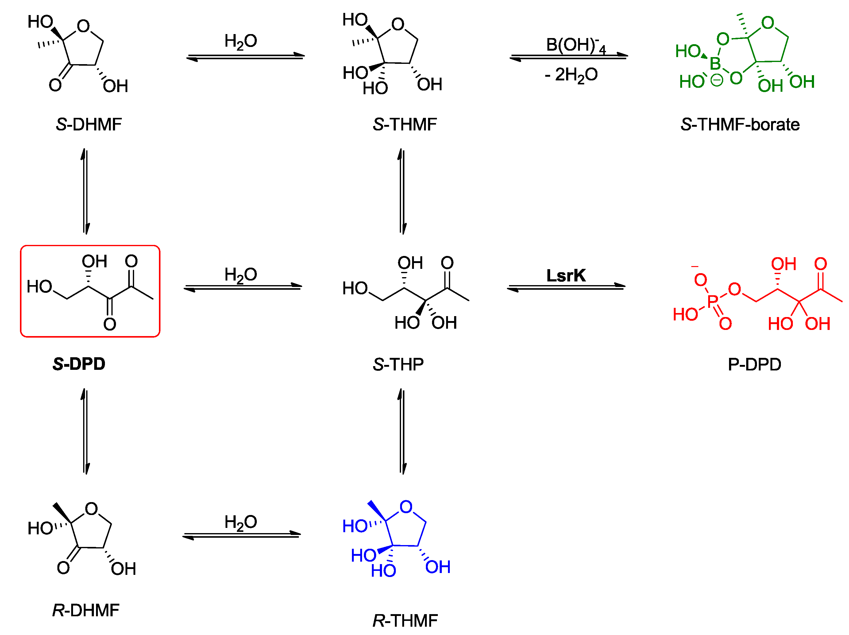 Molecules 23 02545 g001 Molecules 23 02545 g001