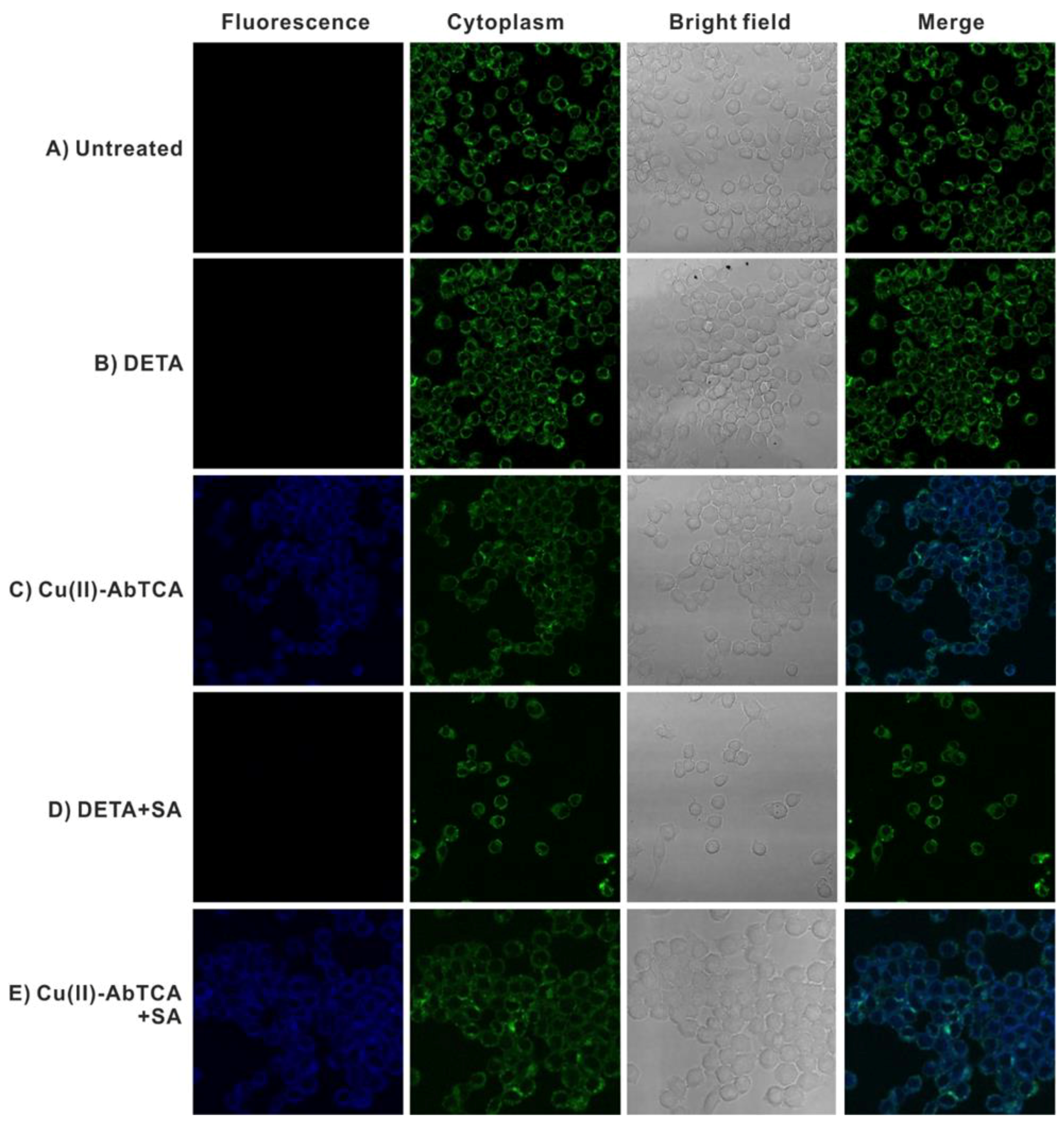 Molecules 23 02551 g003