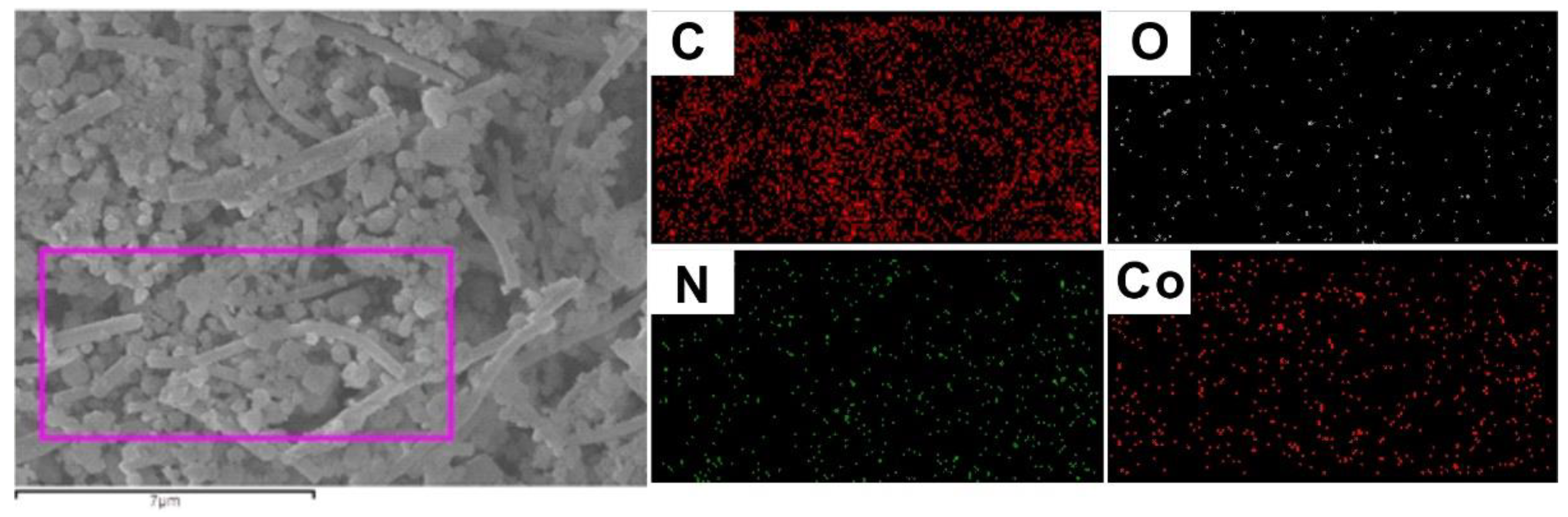 Molecules 23 02552 g002