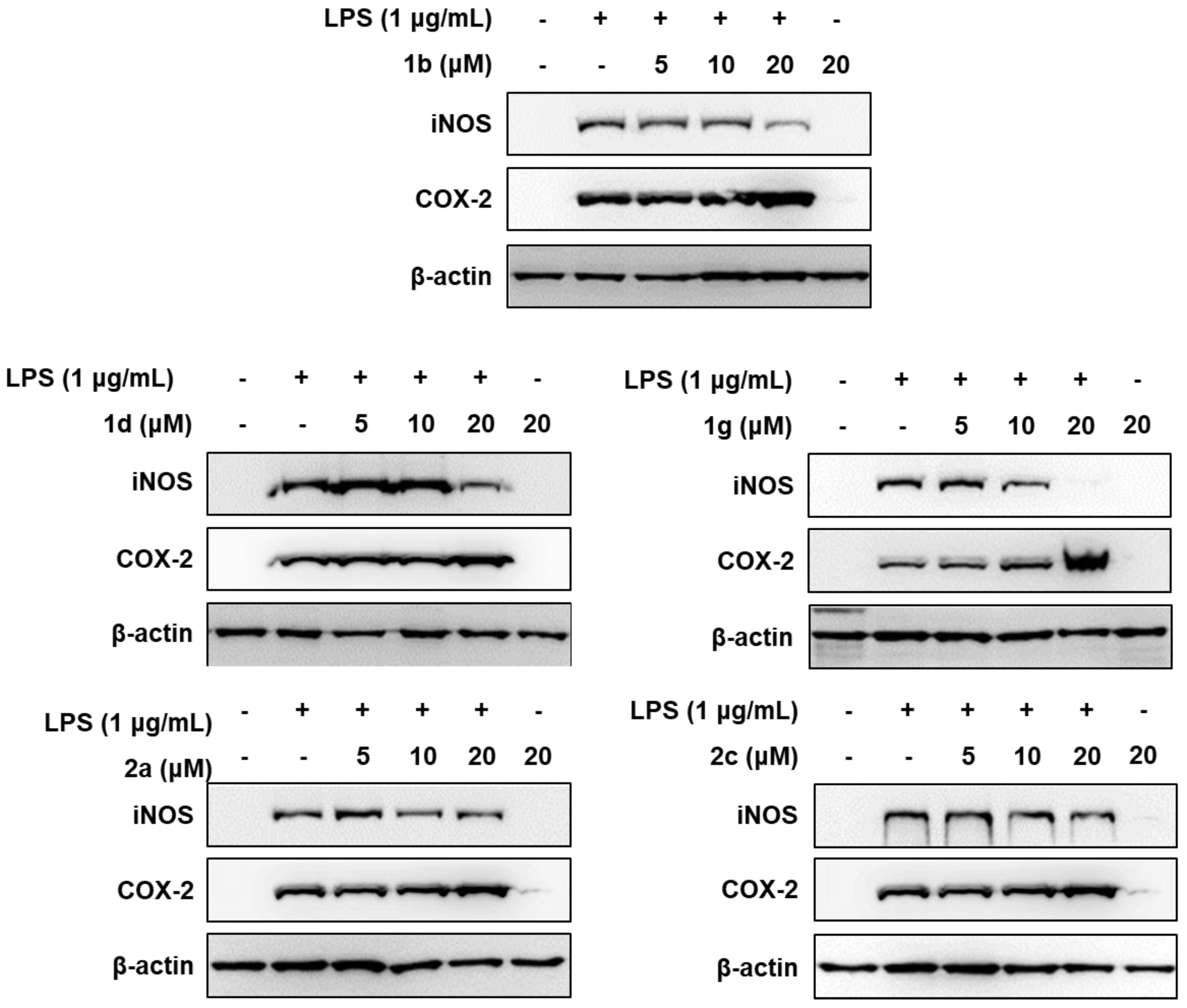 Molecules 23 02556 g003