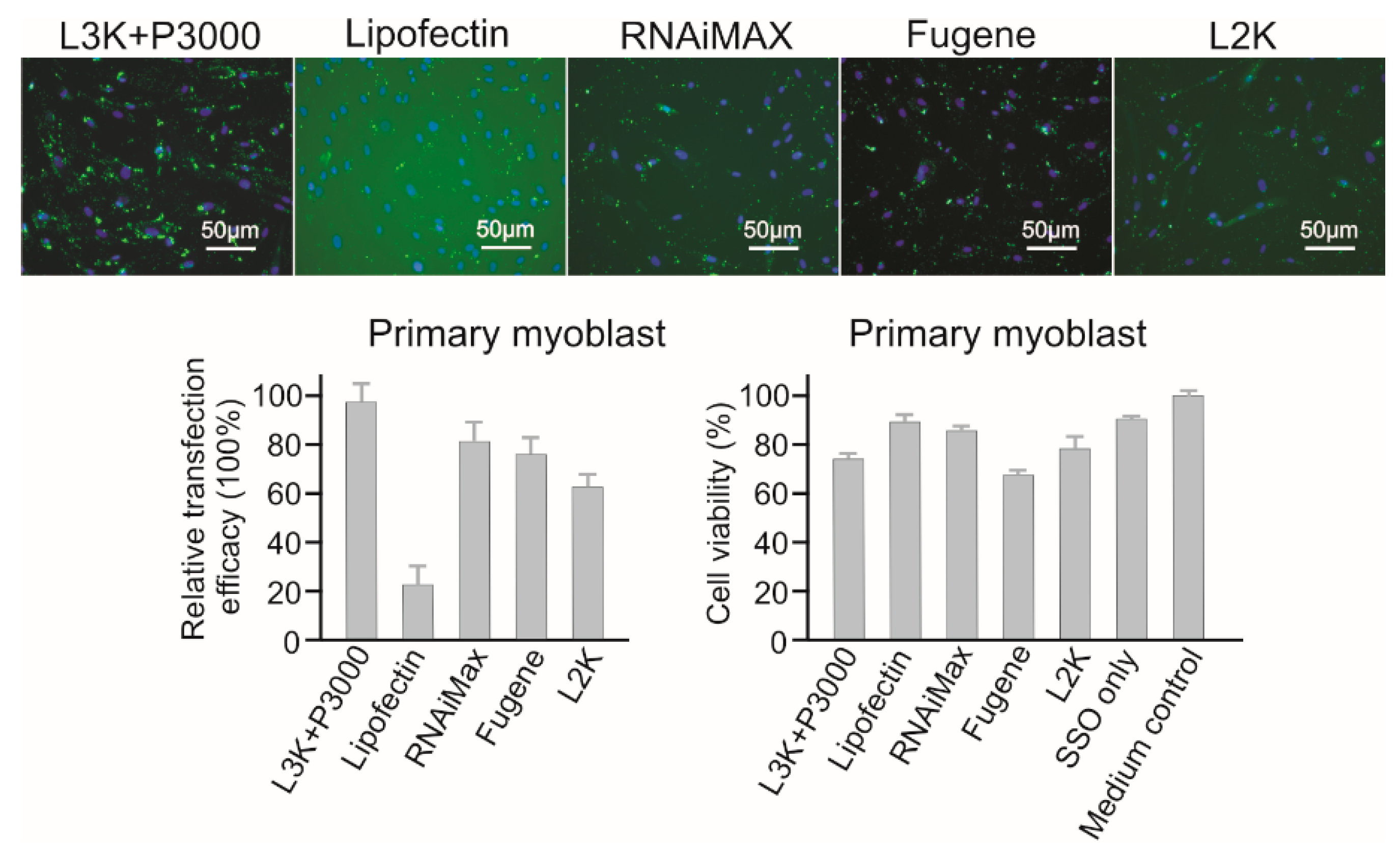 Molecules 23 02564 g008