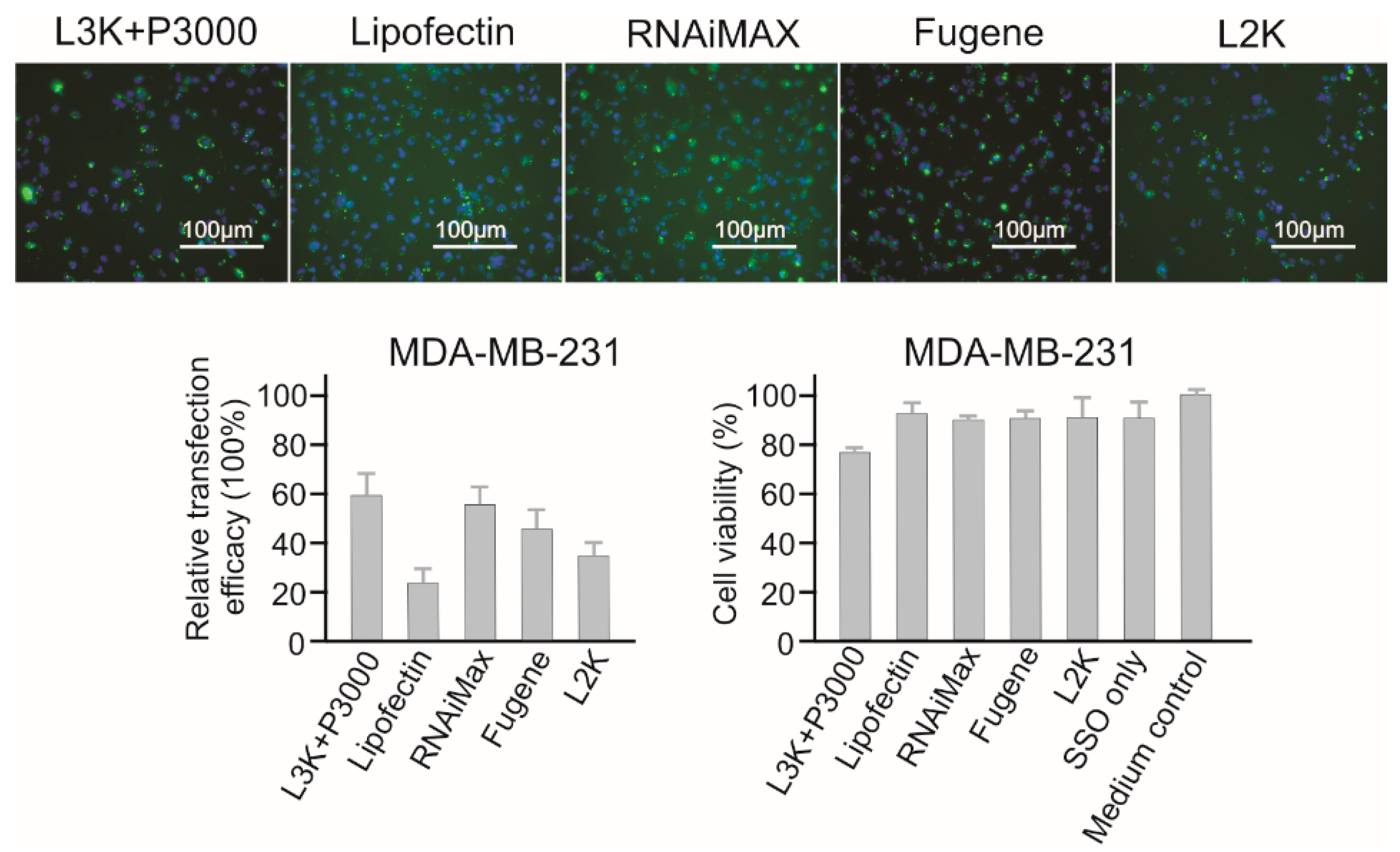 Molecules 23 02564 g011