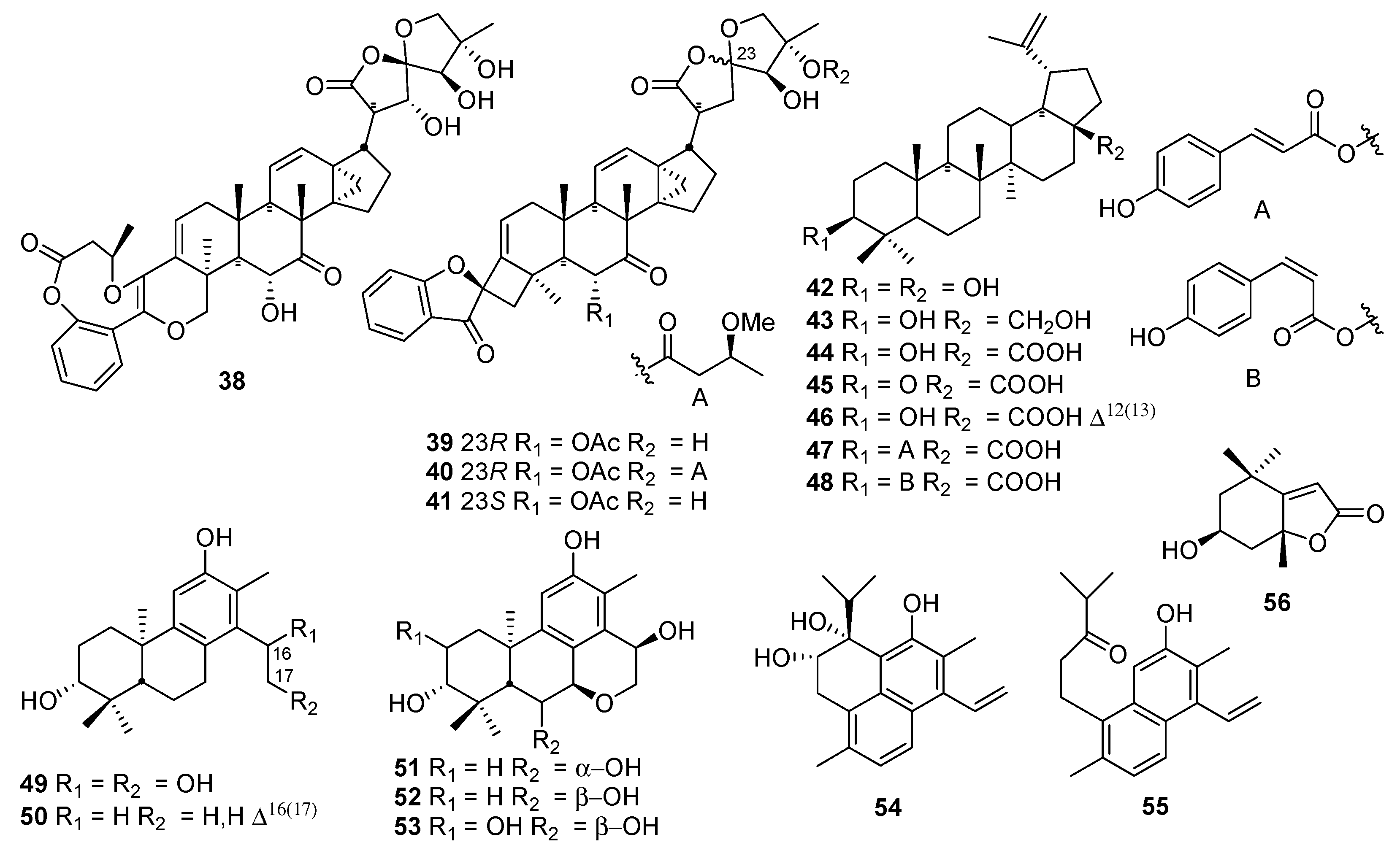Molecules 23 02567 g002