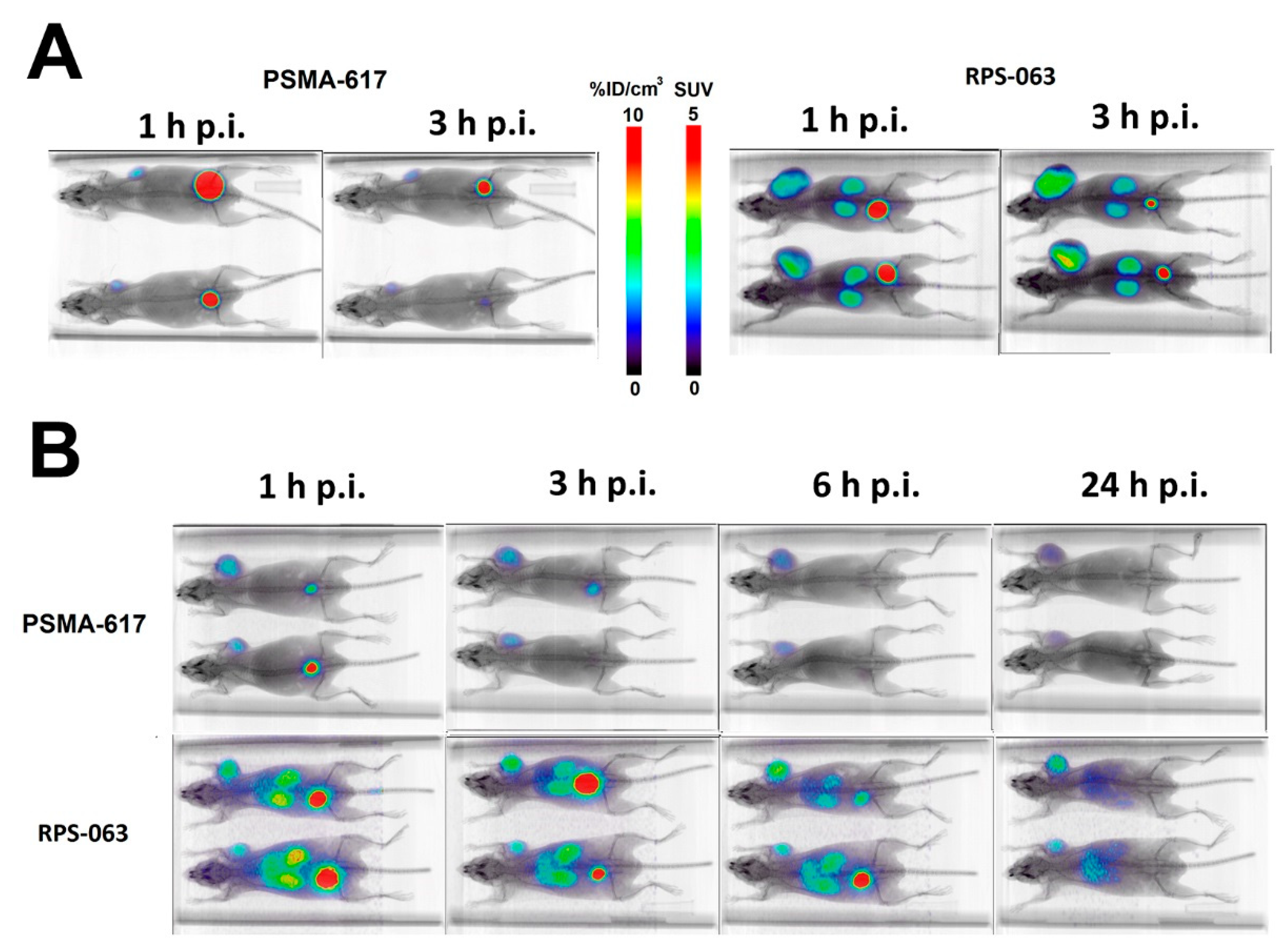 Molecules 23 02575 g003 Molecules 23 02575 g003