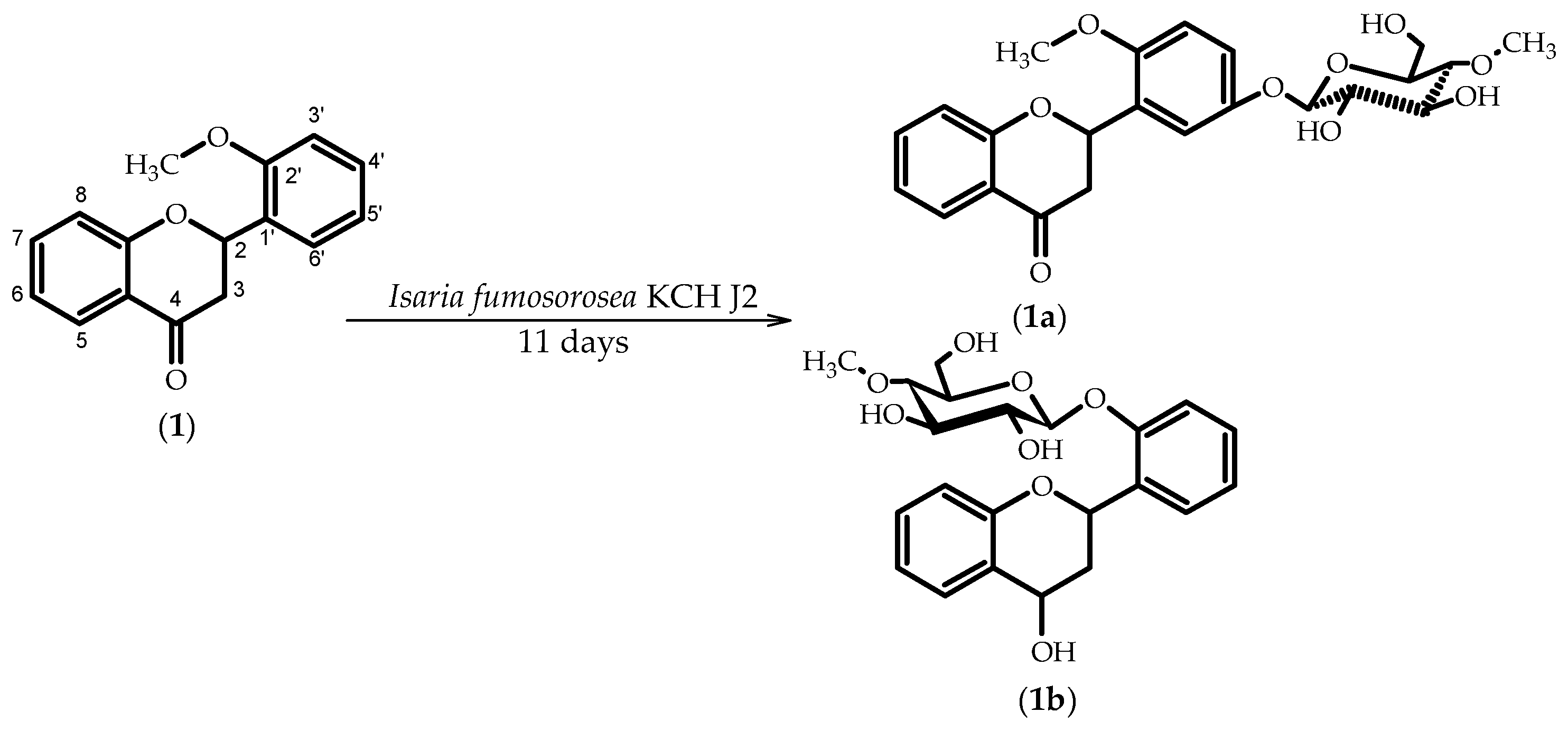 Molecules 23 02578 sch001
